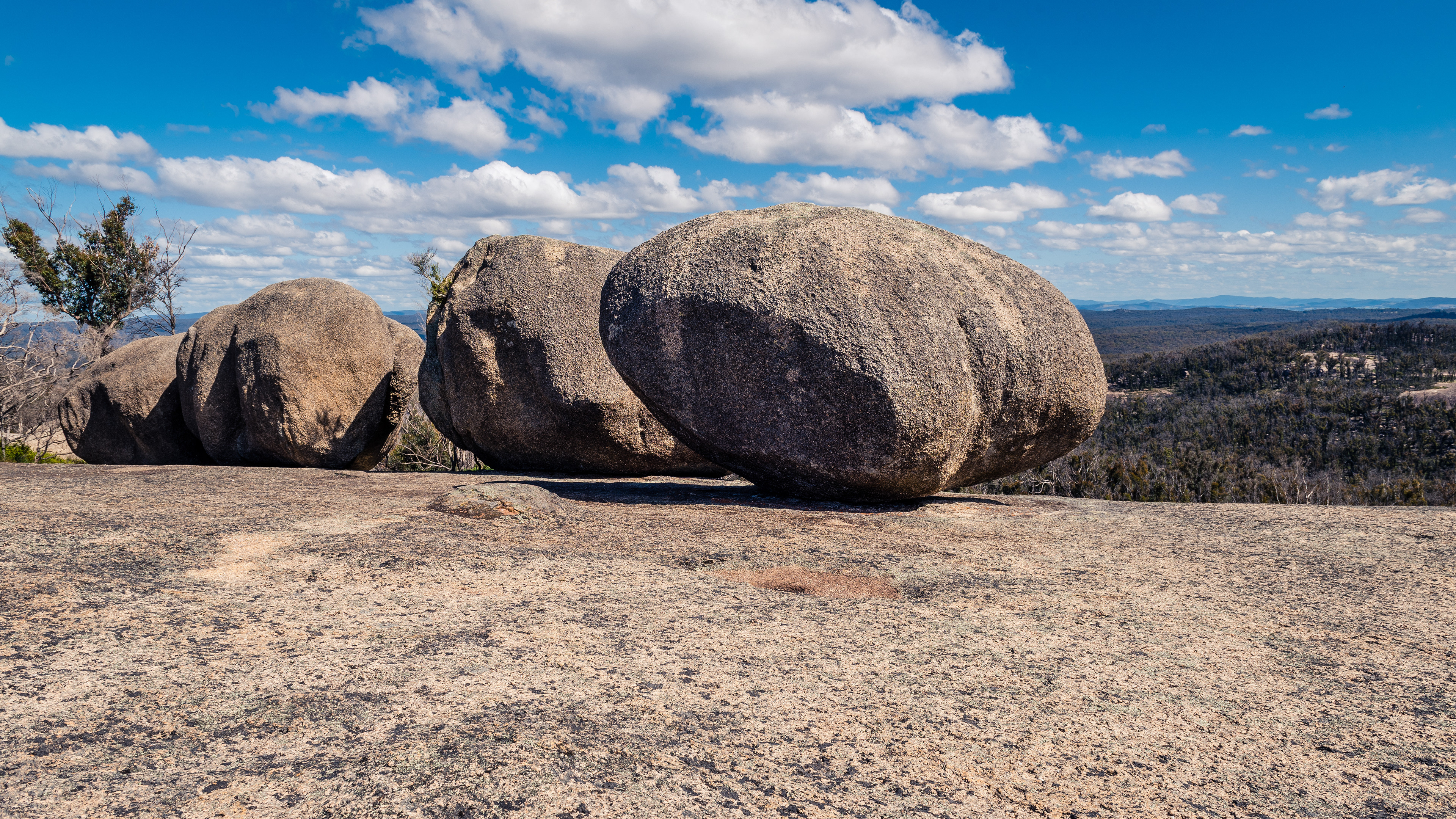 Bald Rock National Park