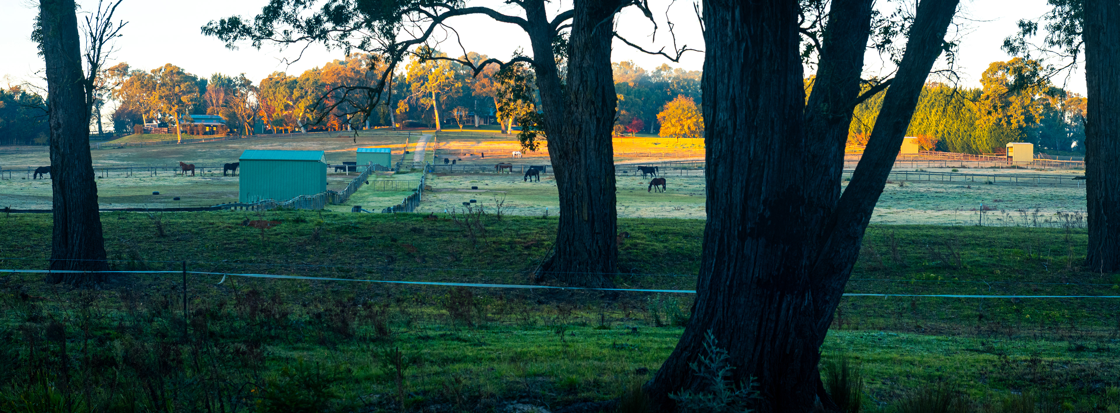 Berrima River Walk