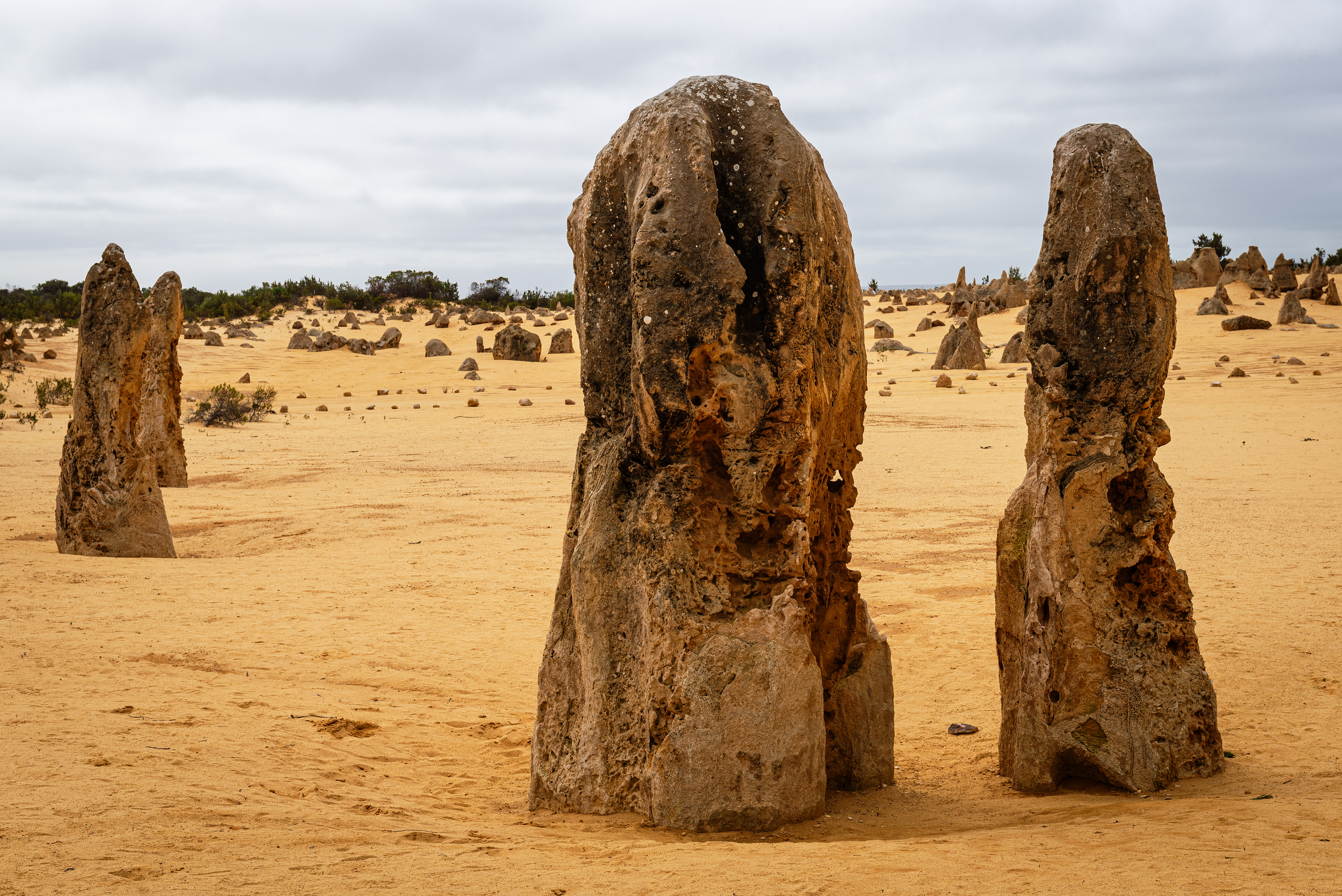 The Pinnacles Desert, Nambung National Park