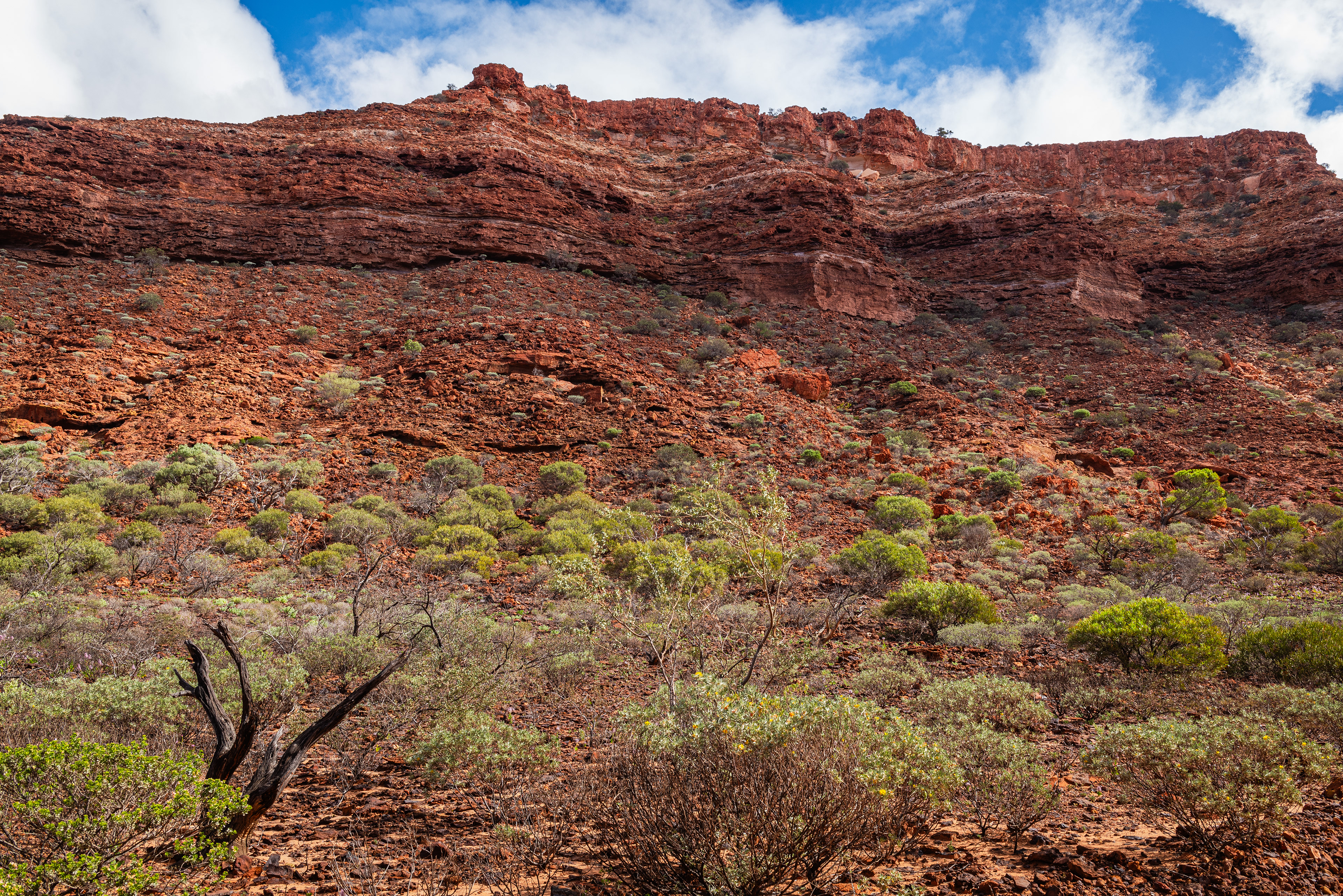 Kennedy Range National Park