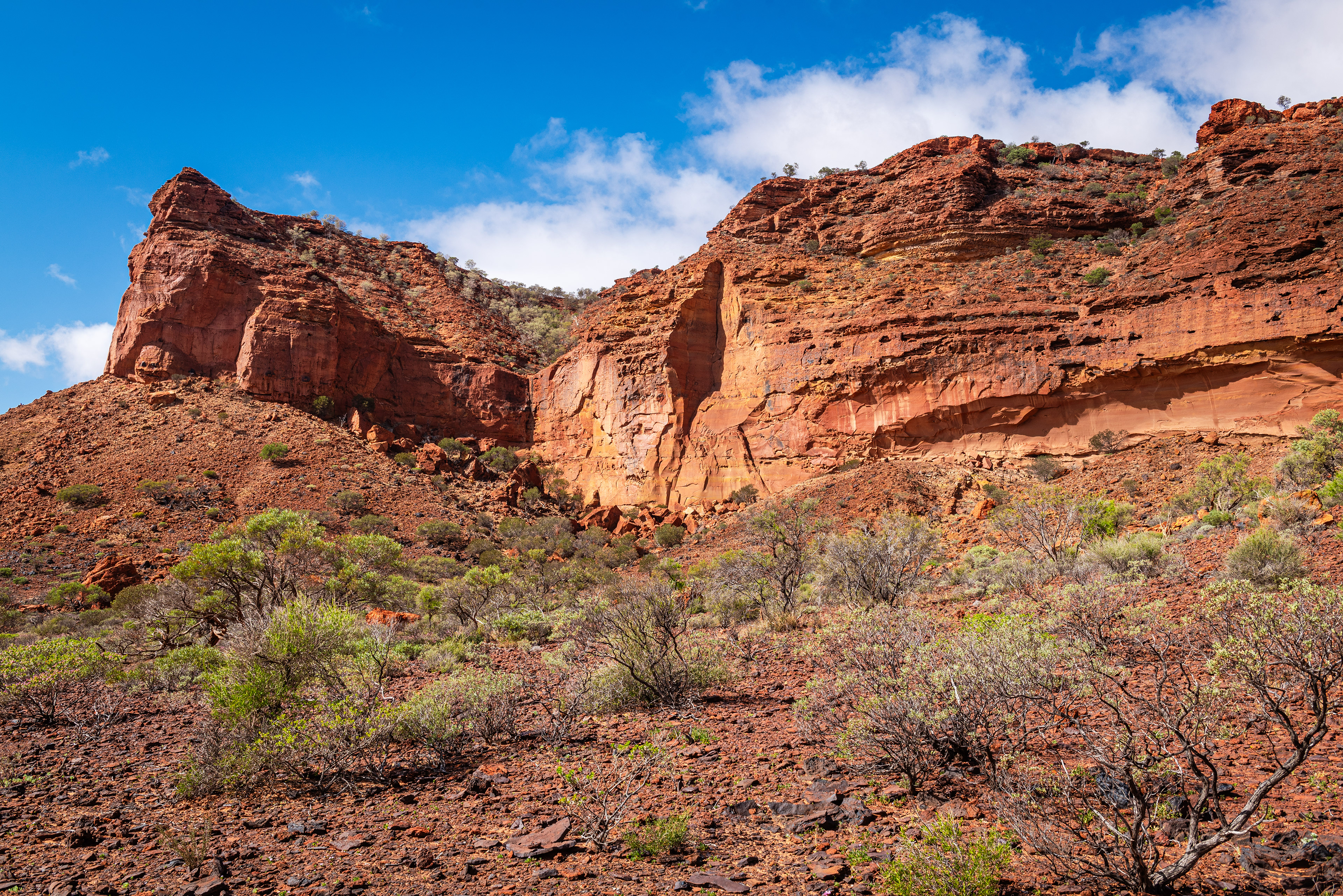 Kennedy Range National Park