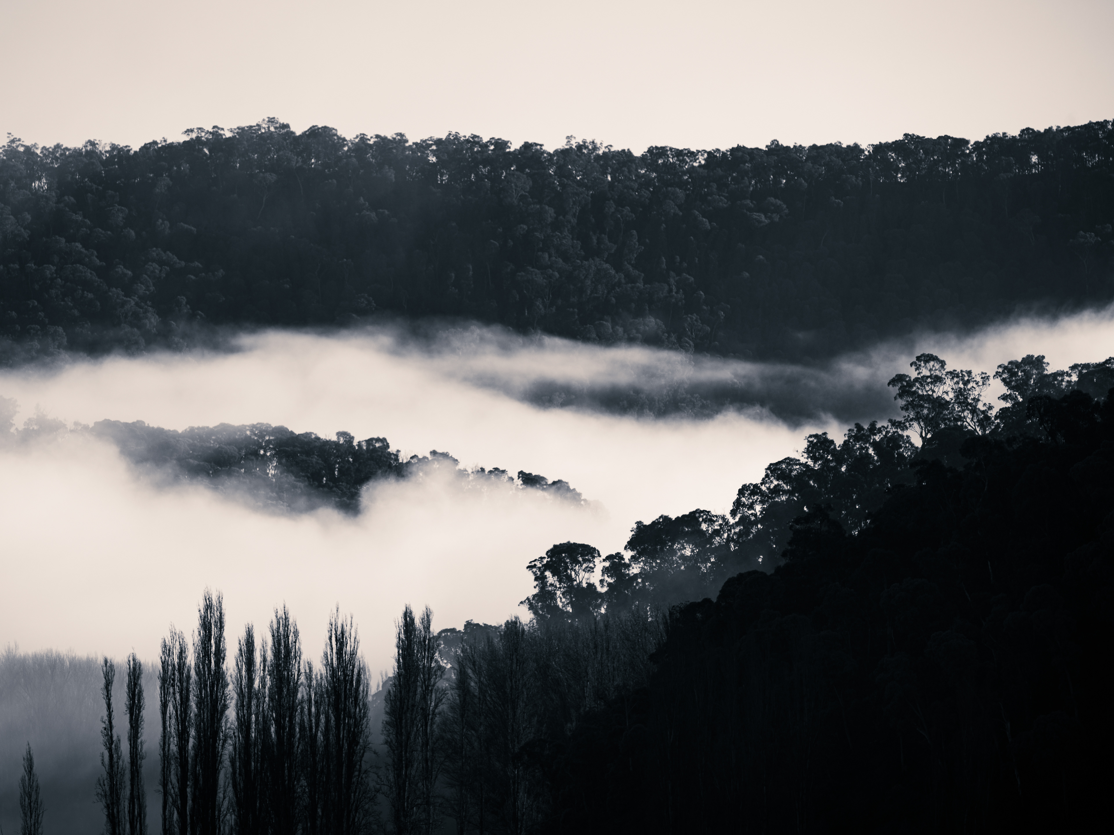 Corryong