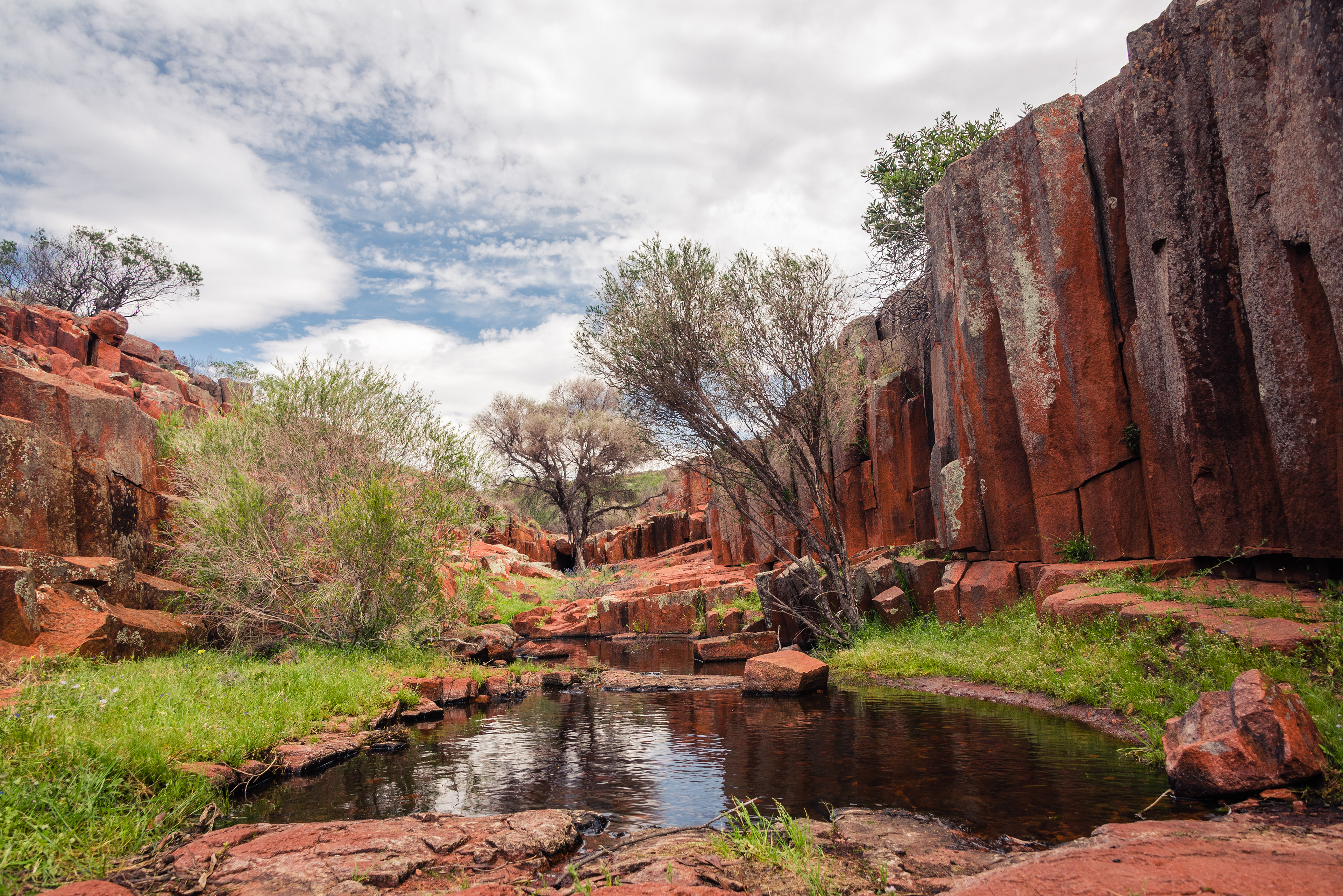 Gawler Ranges National Park