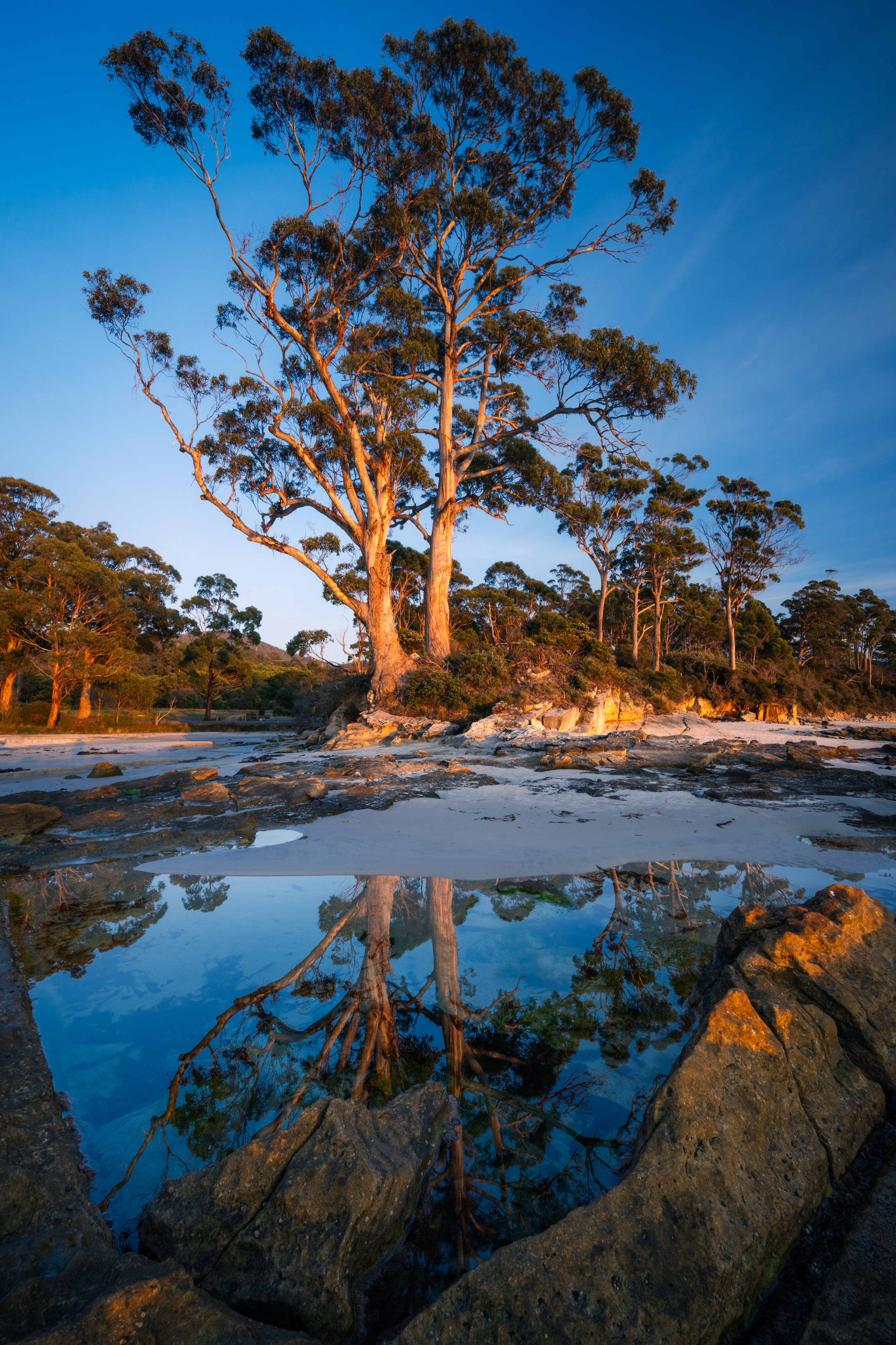Bruny Island