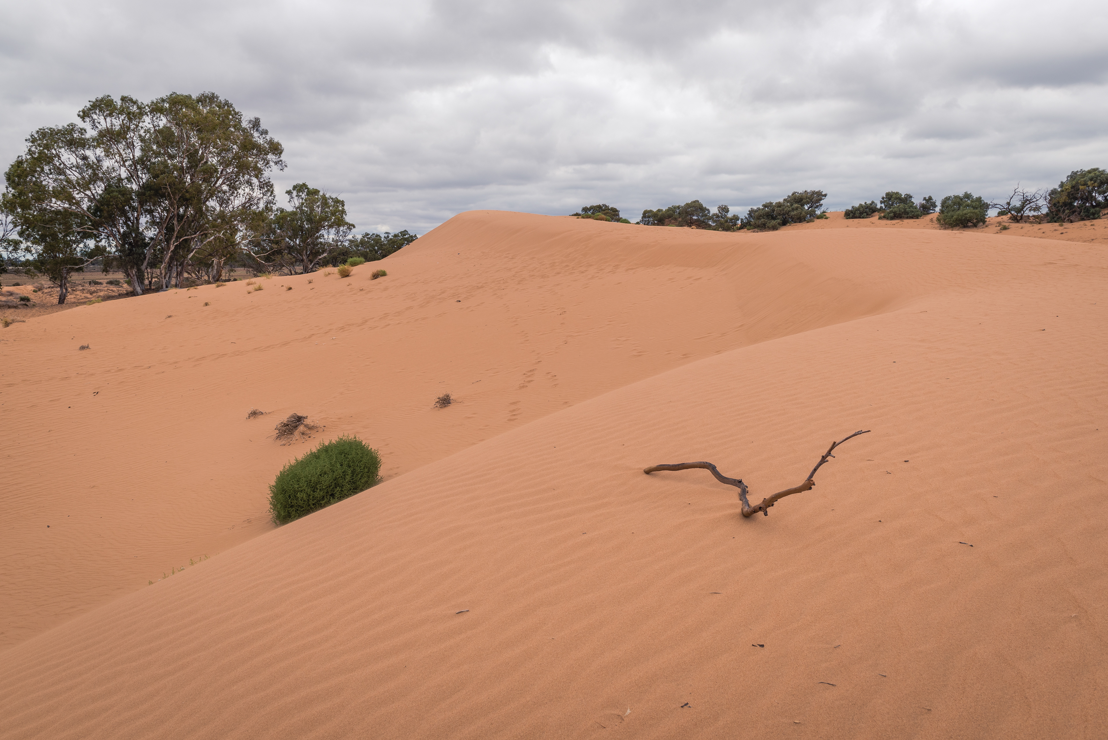 Perry Sandhills, Wentworth
