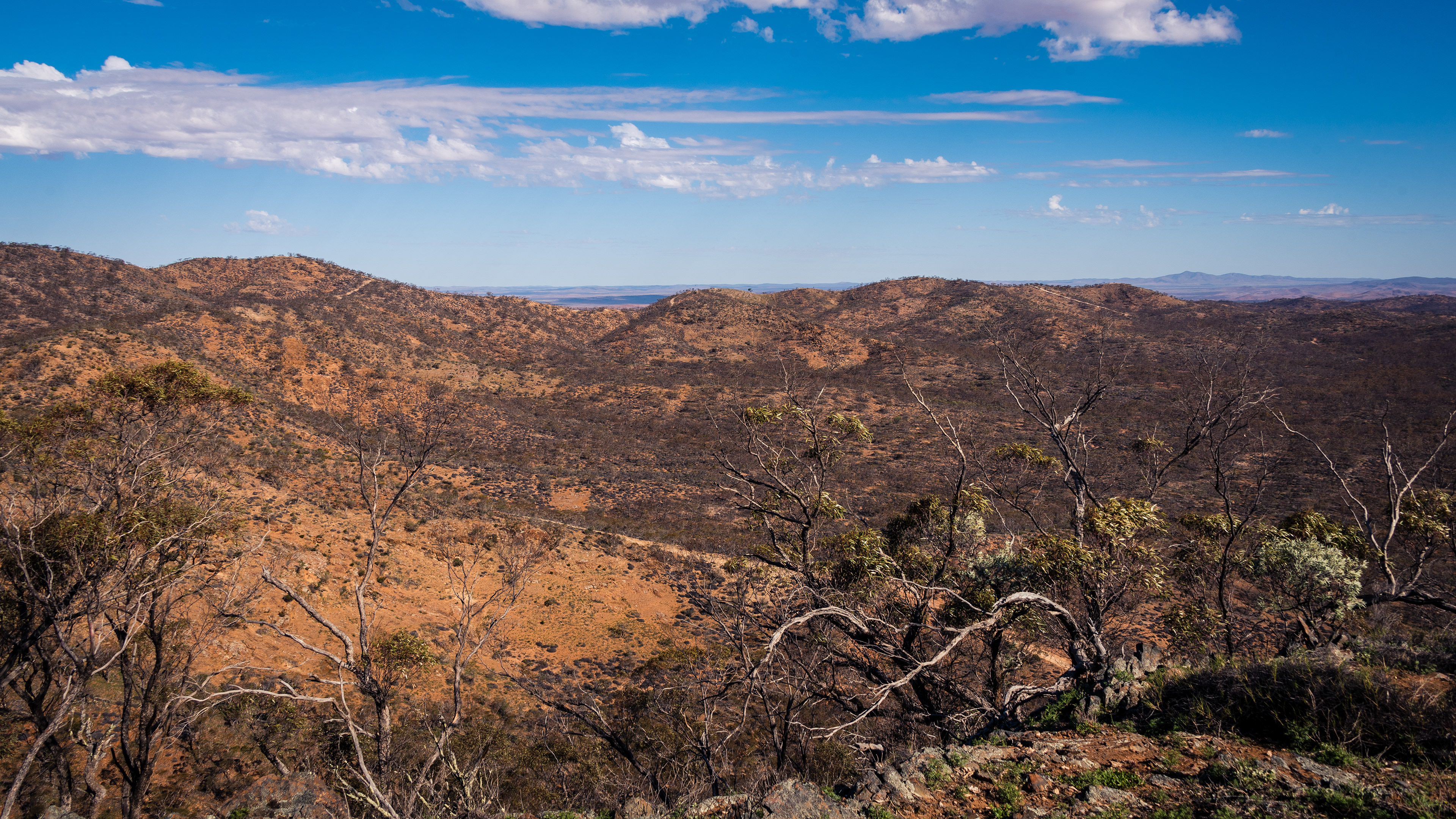Bendleby Ranges