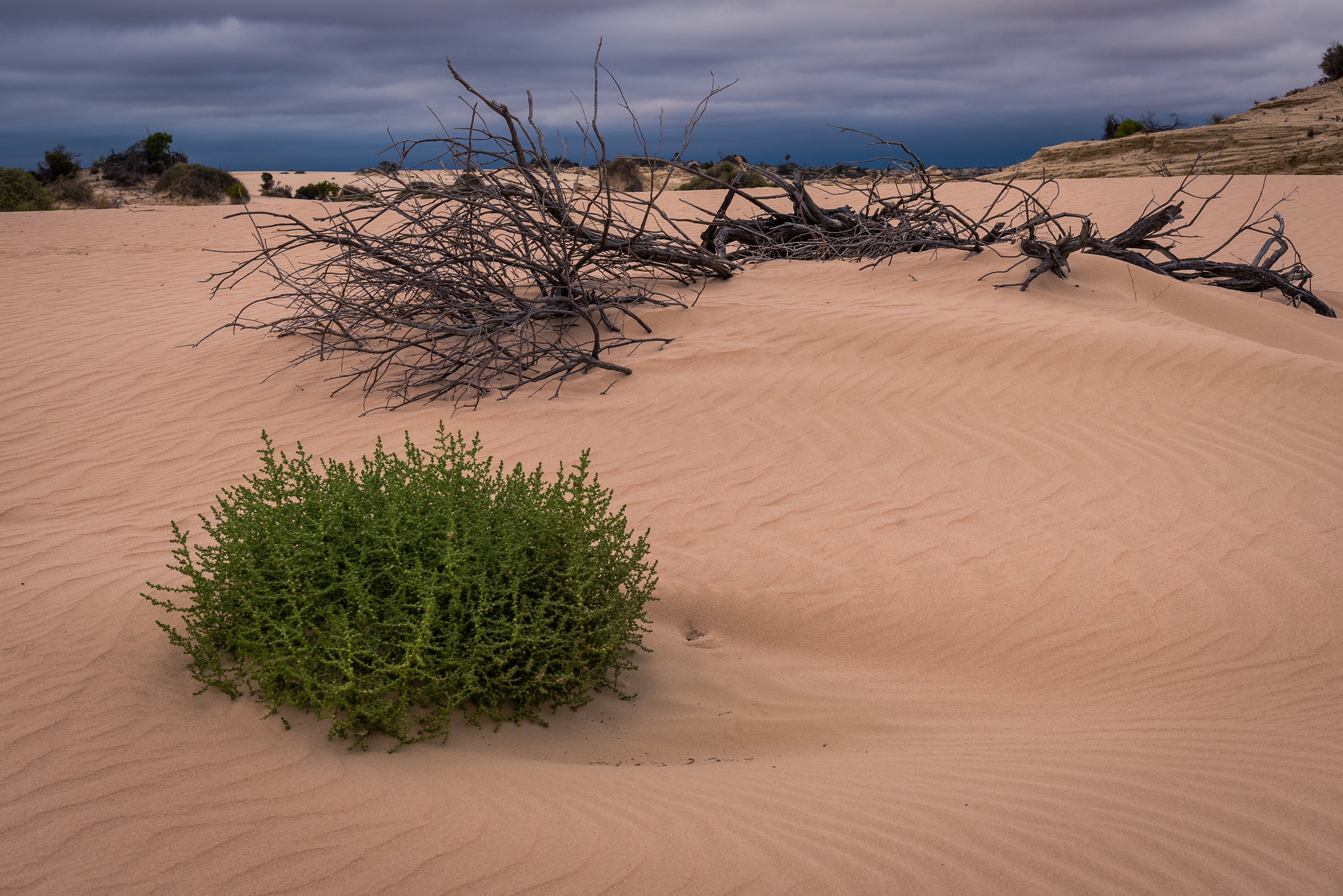 Mungo National Park