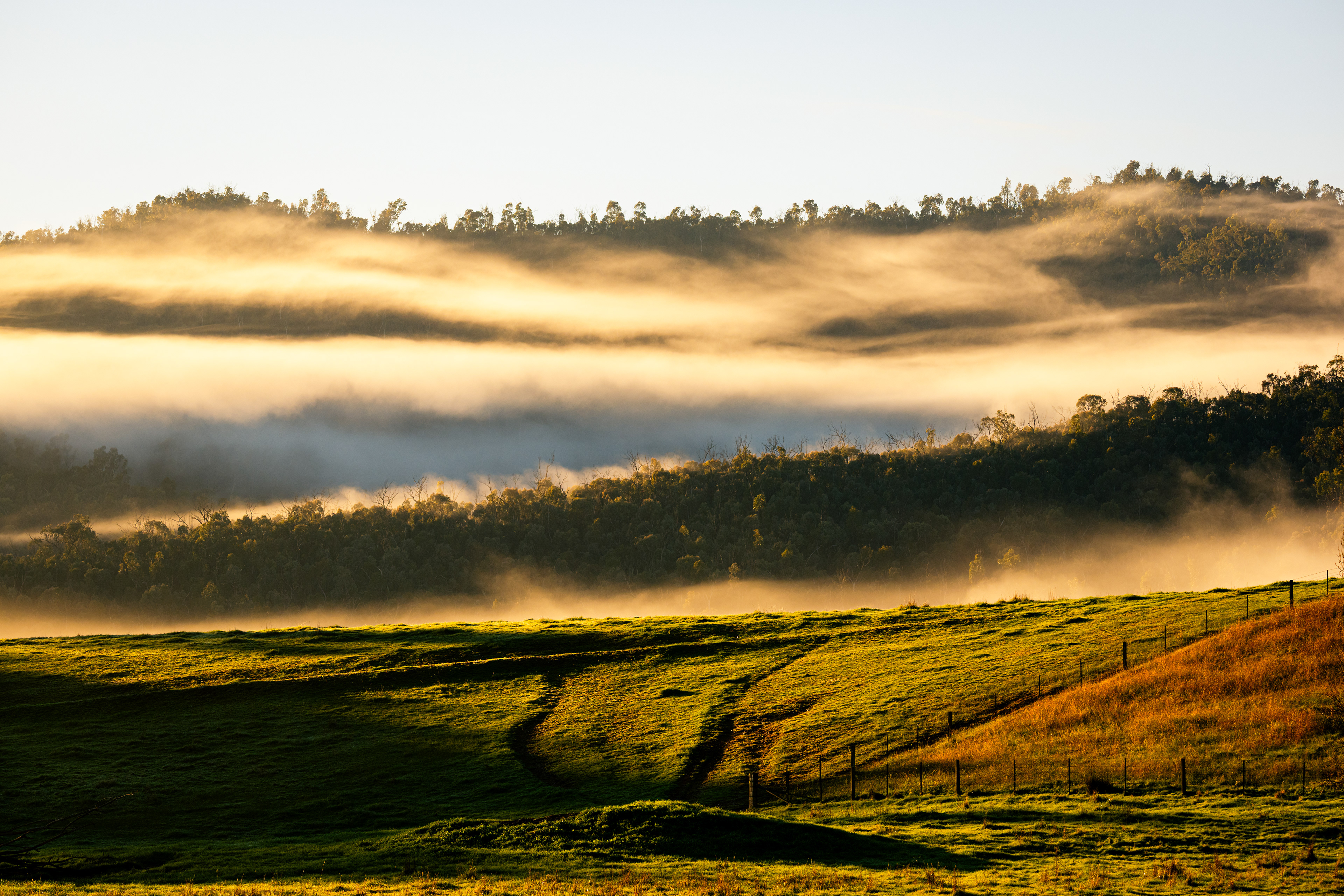 Corryong