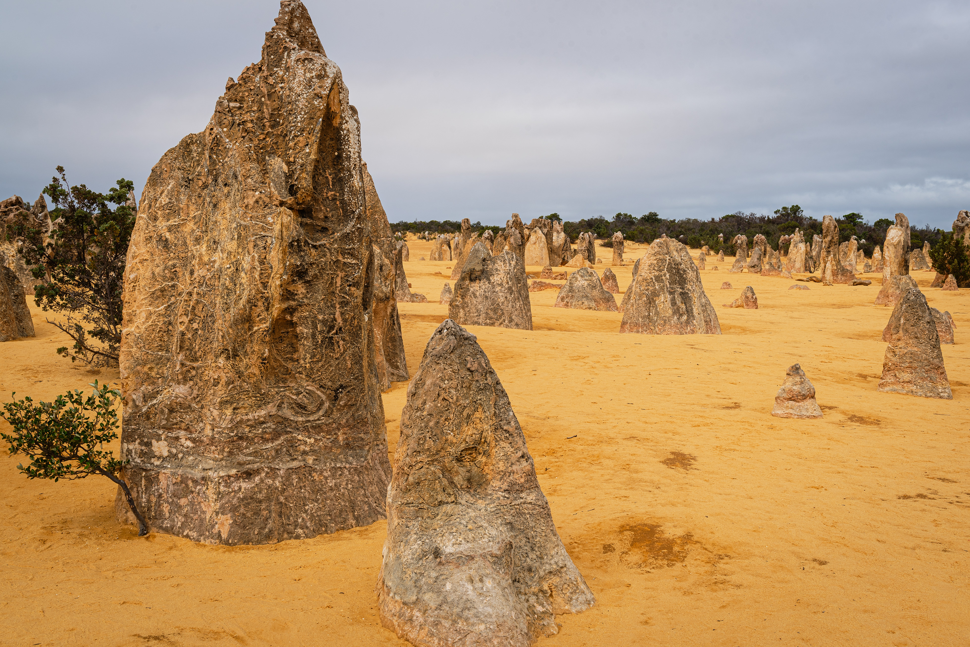 The Pinnacles Desert, Nambung National Park