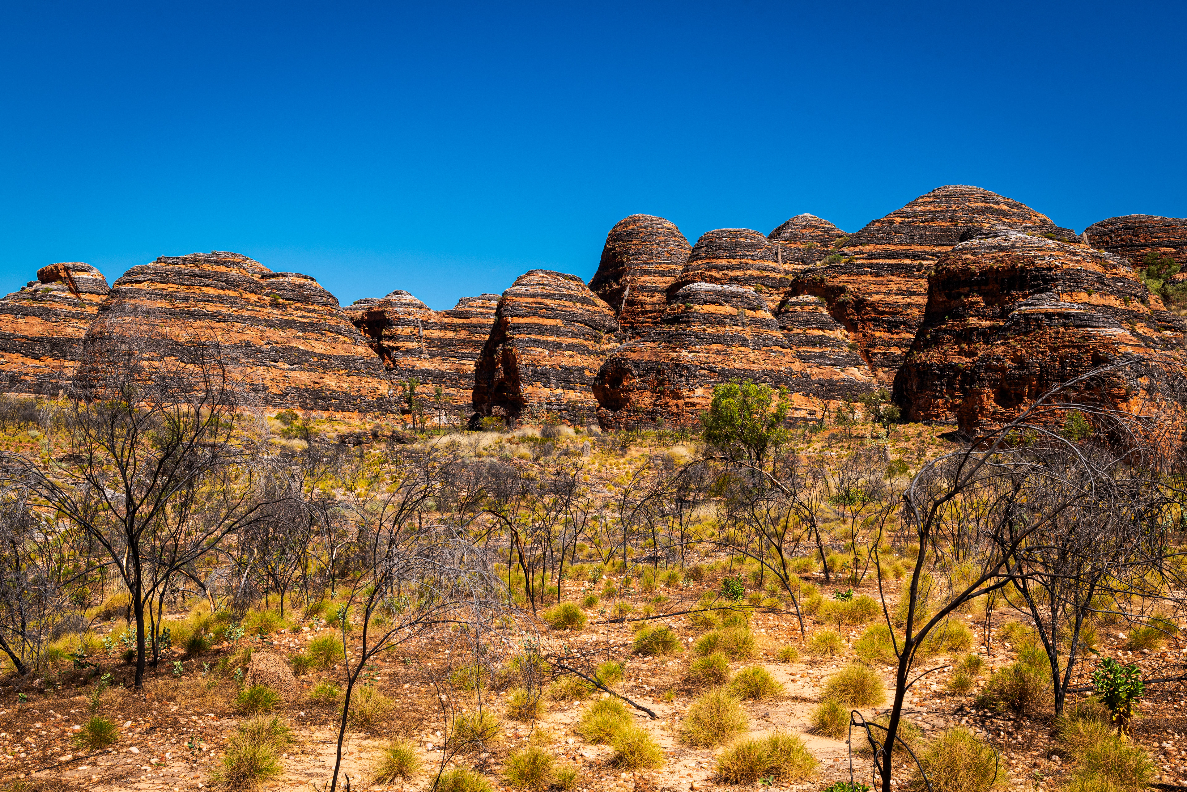 The Bungle Bungles, Purnululu National Park