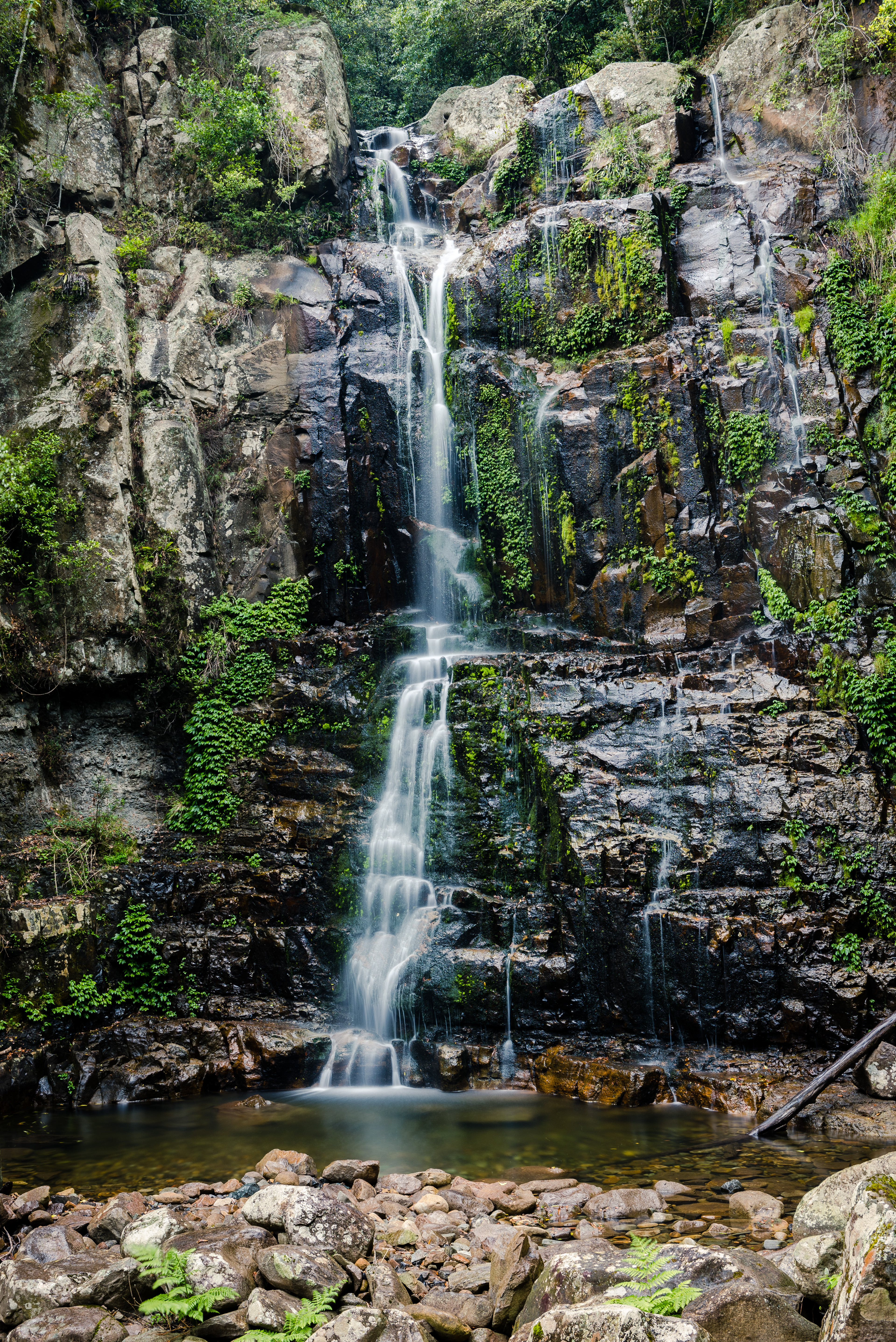 Minnamurra Falls