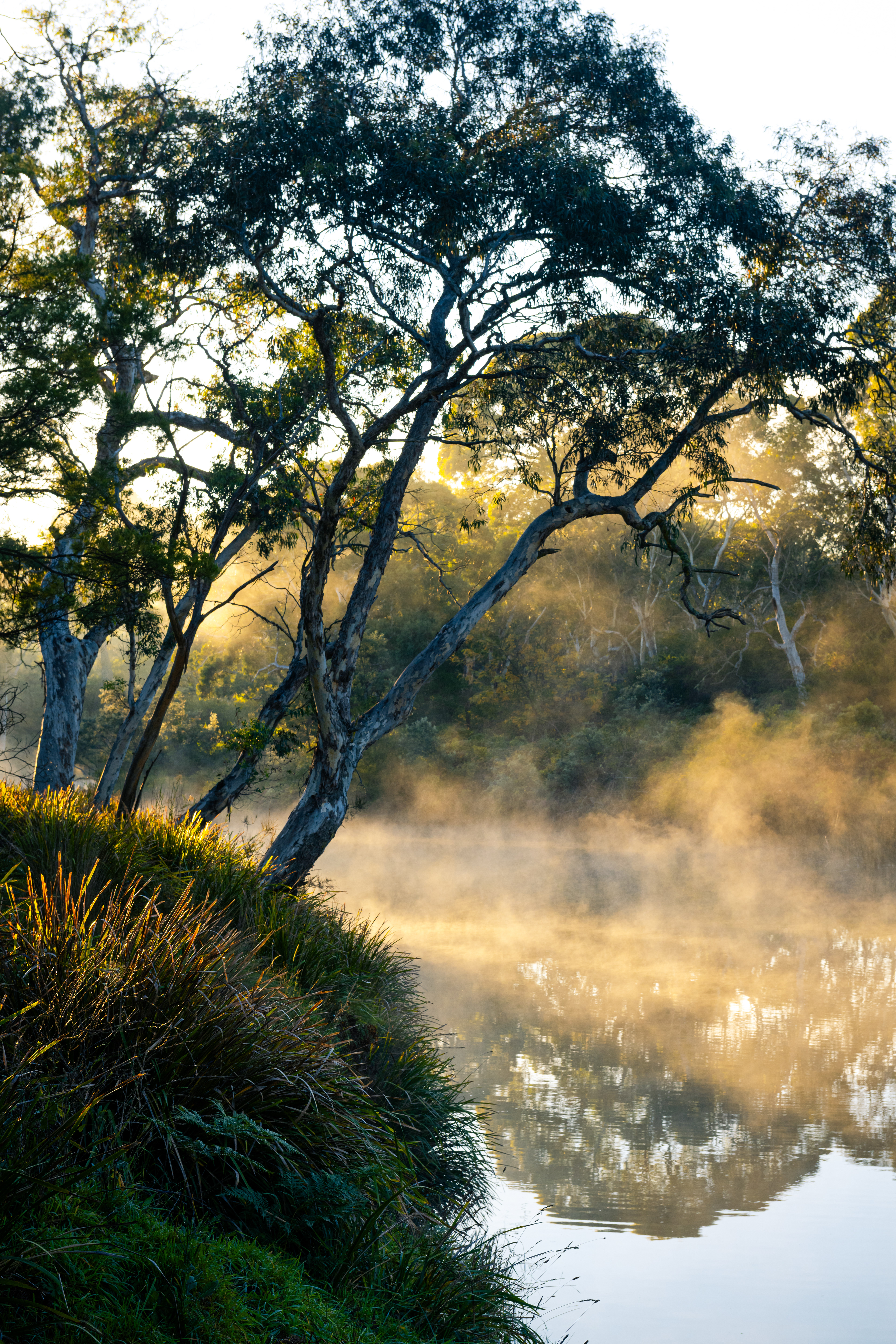Berrima River Walk