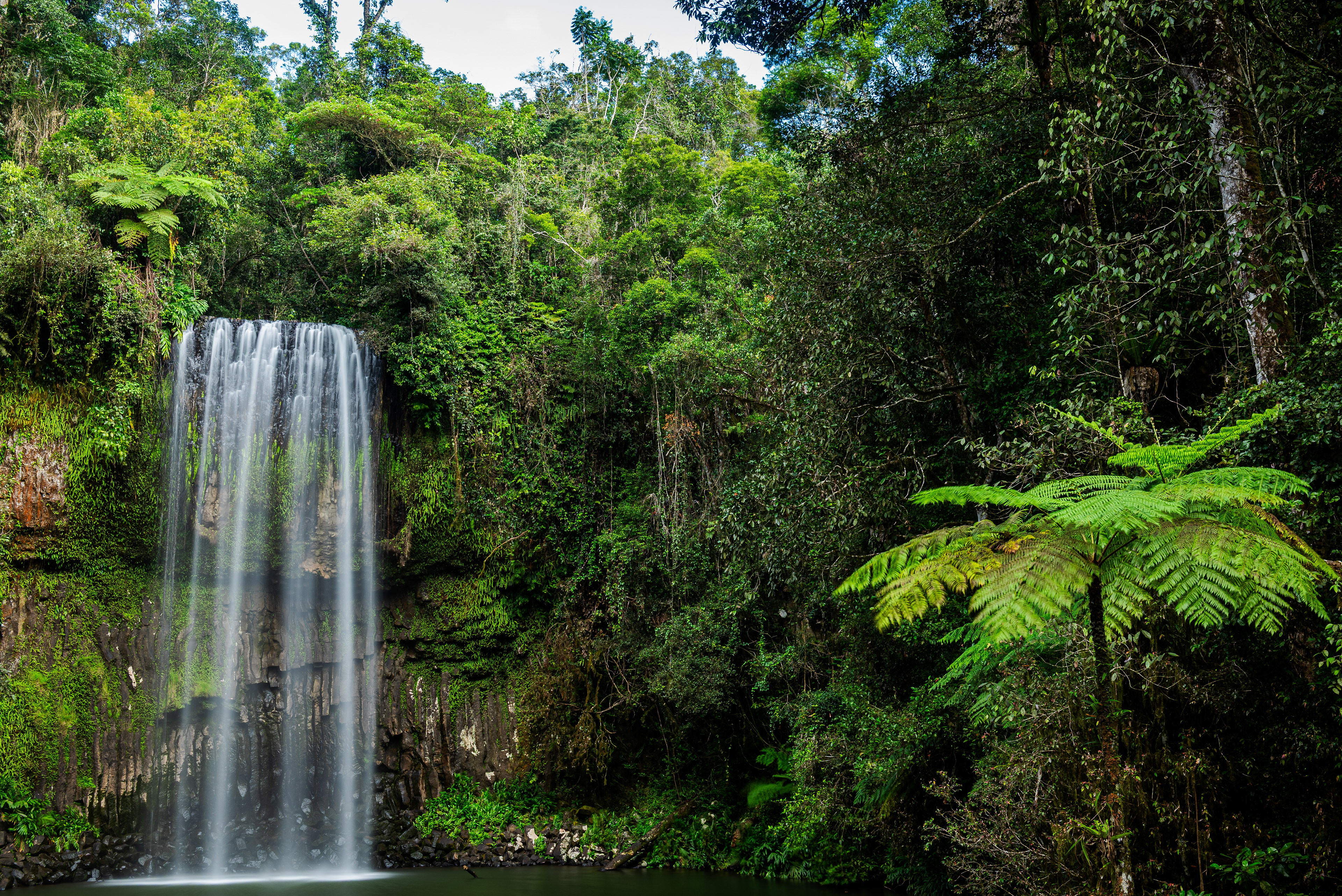 Millaa Millaa Falls