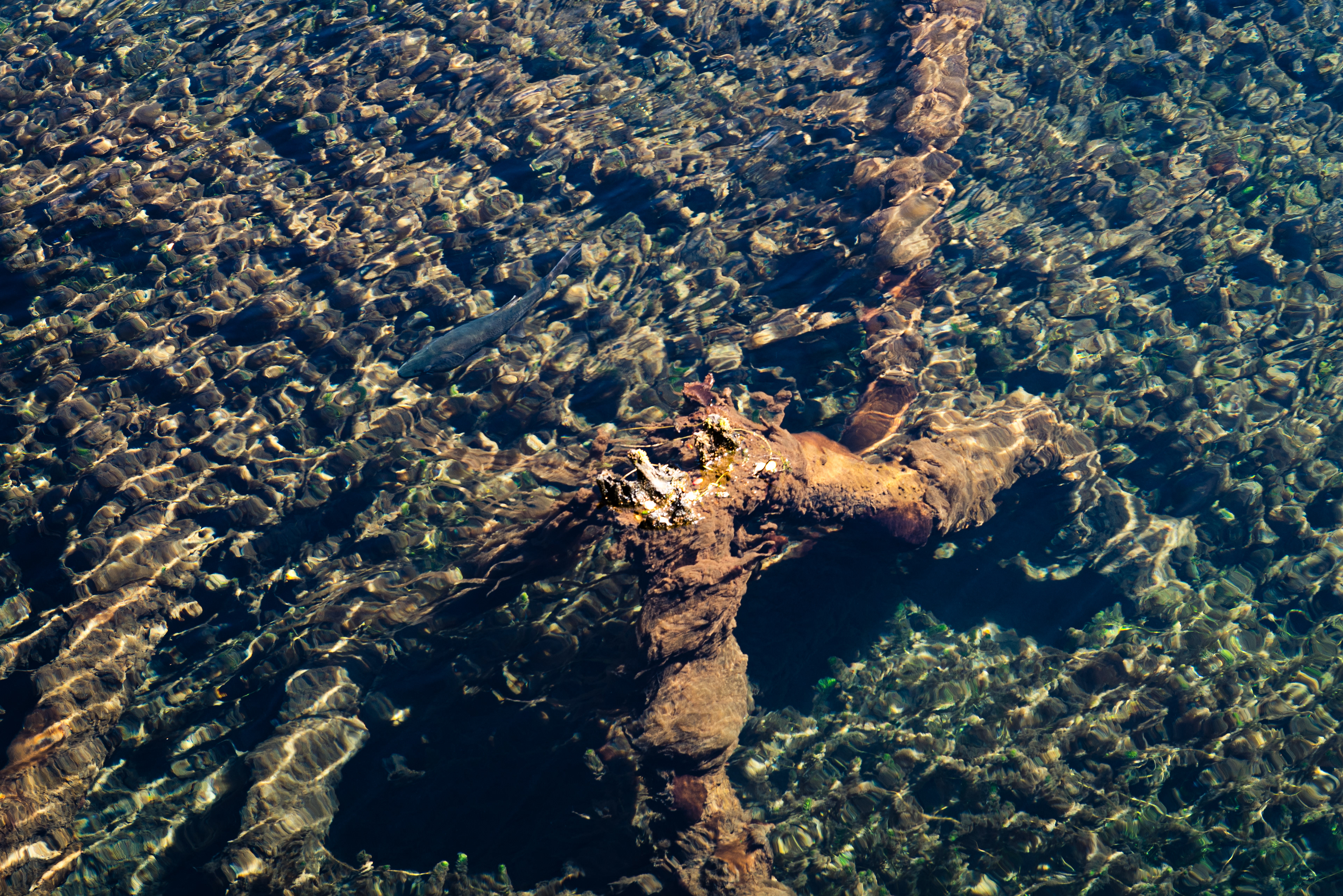 Milford Sound, South Island