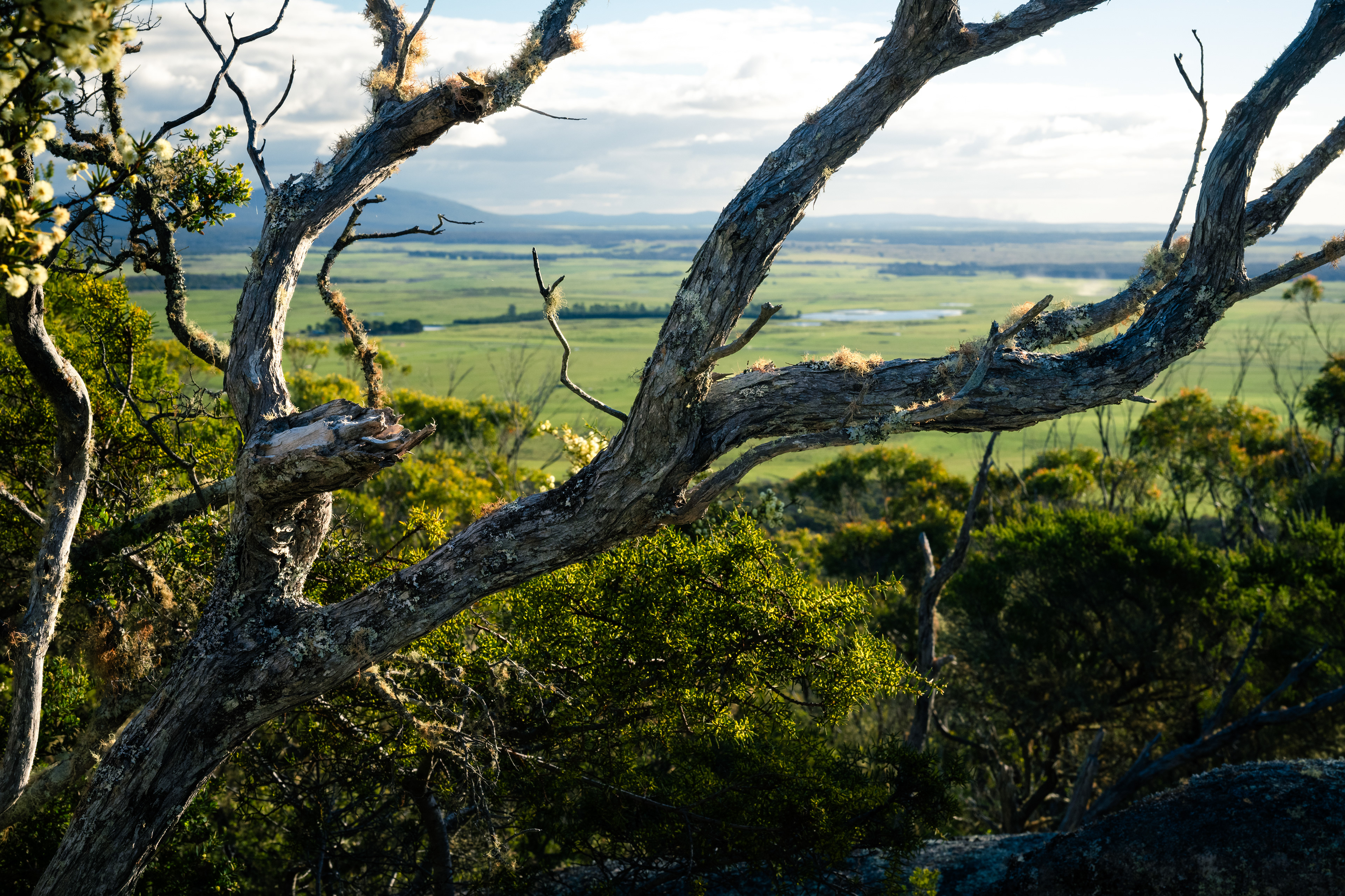 Mount William National Park