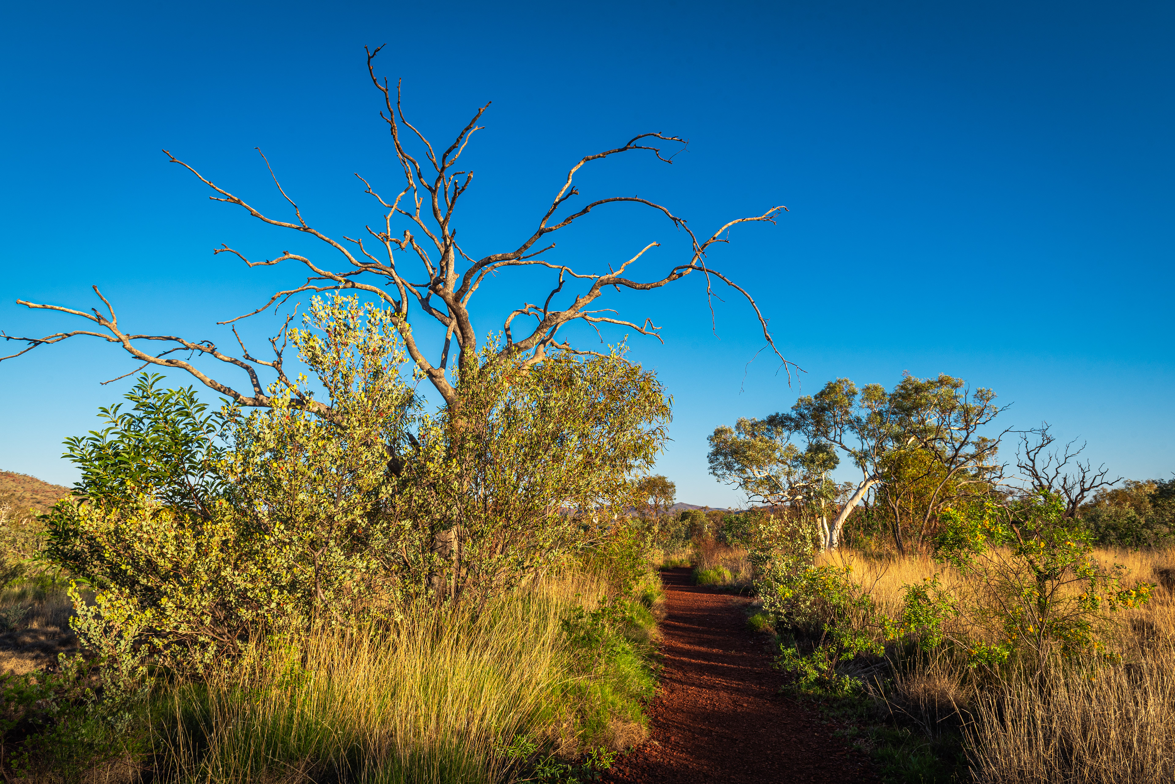 Karijini National Park