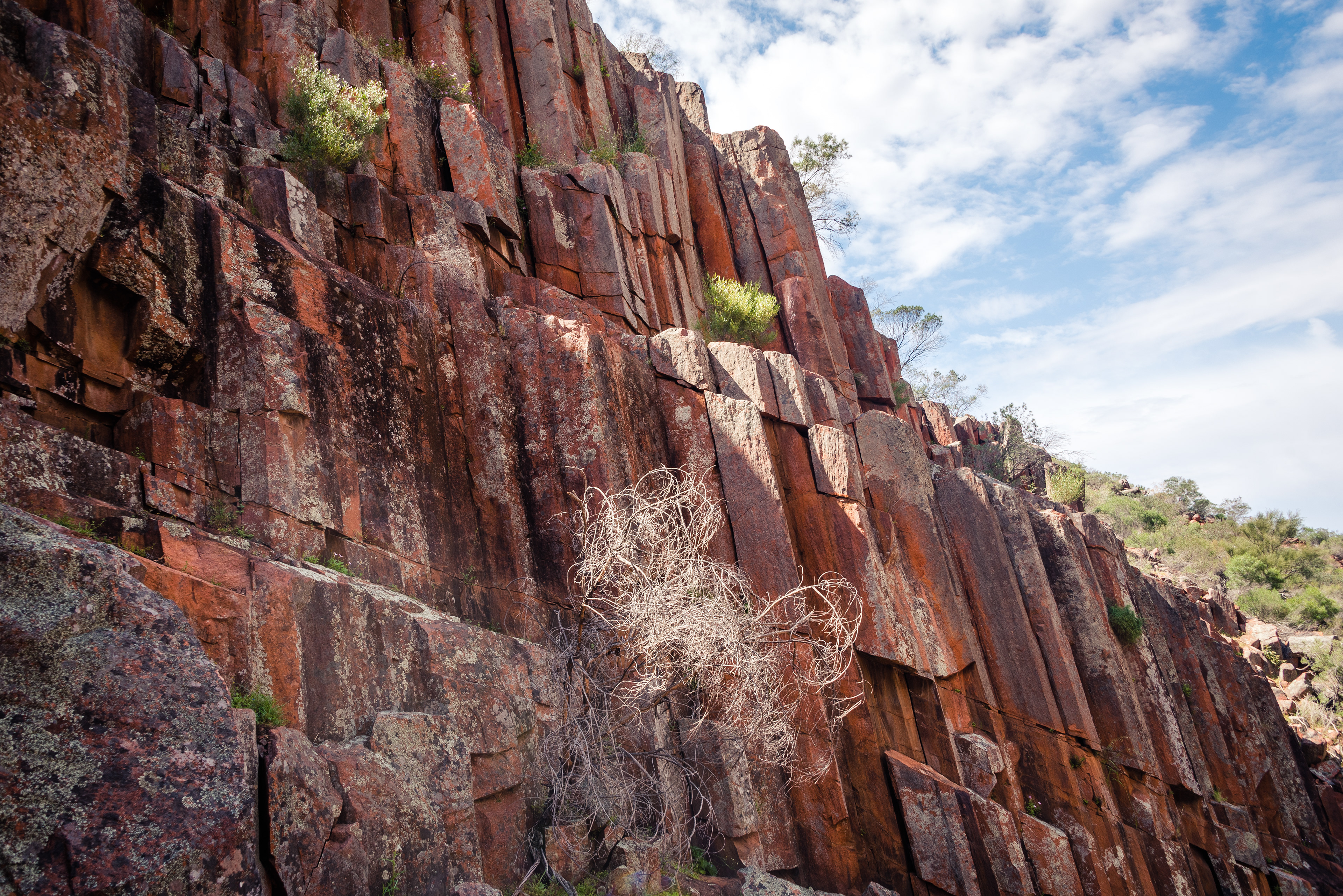 Gawler Ranges National Park