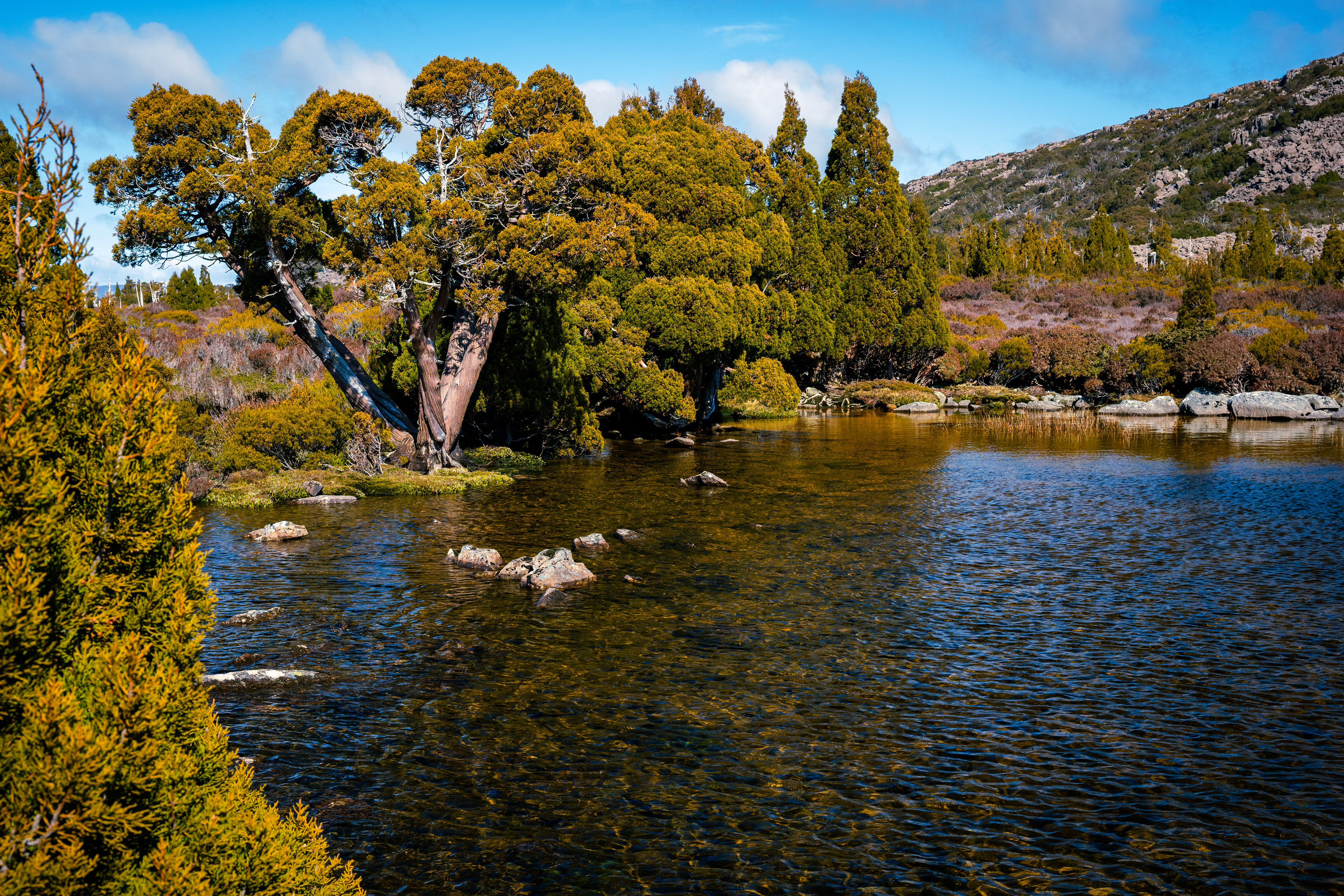 Pine Lake