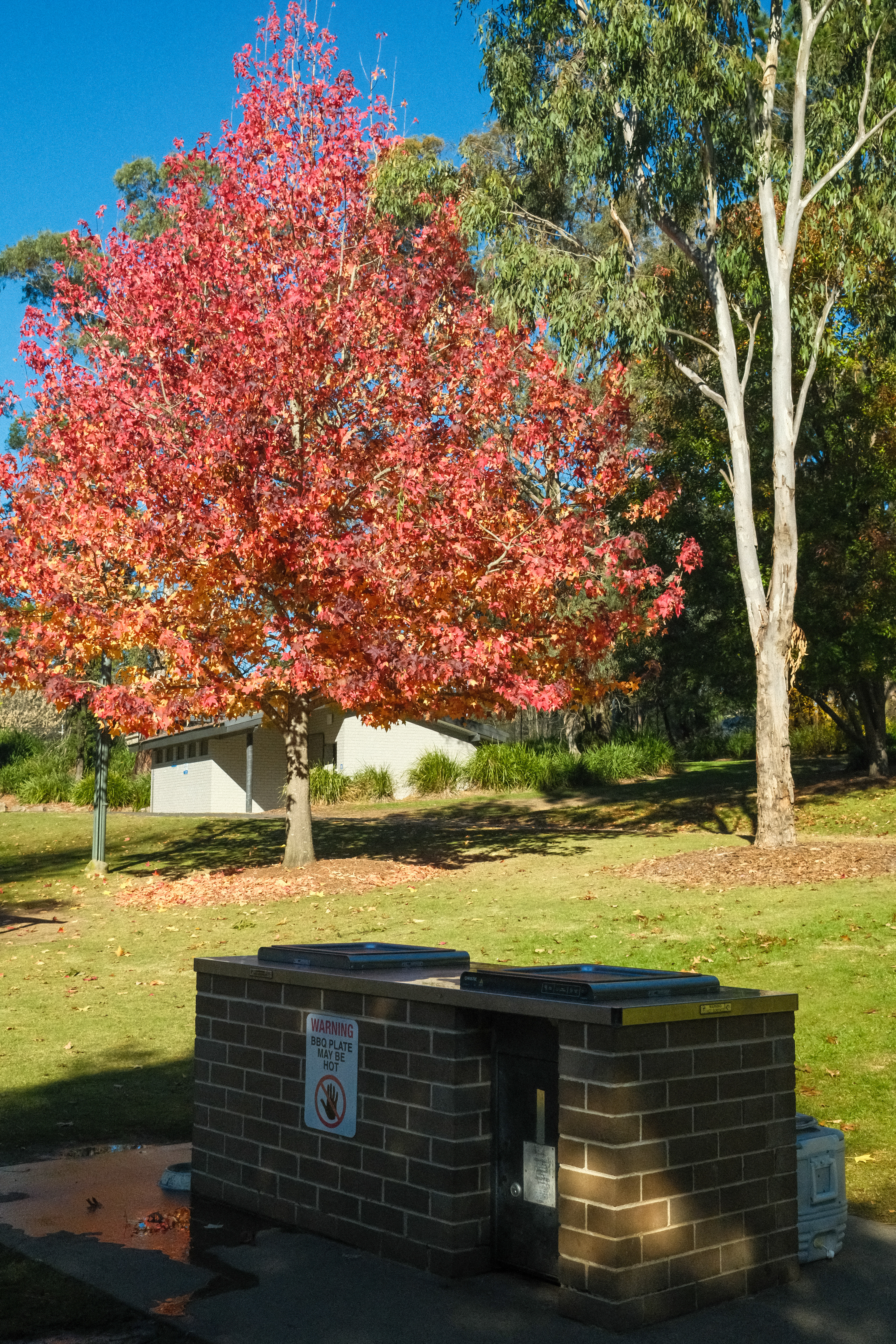 Lake Alexandra, Mittagong