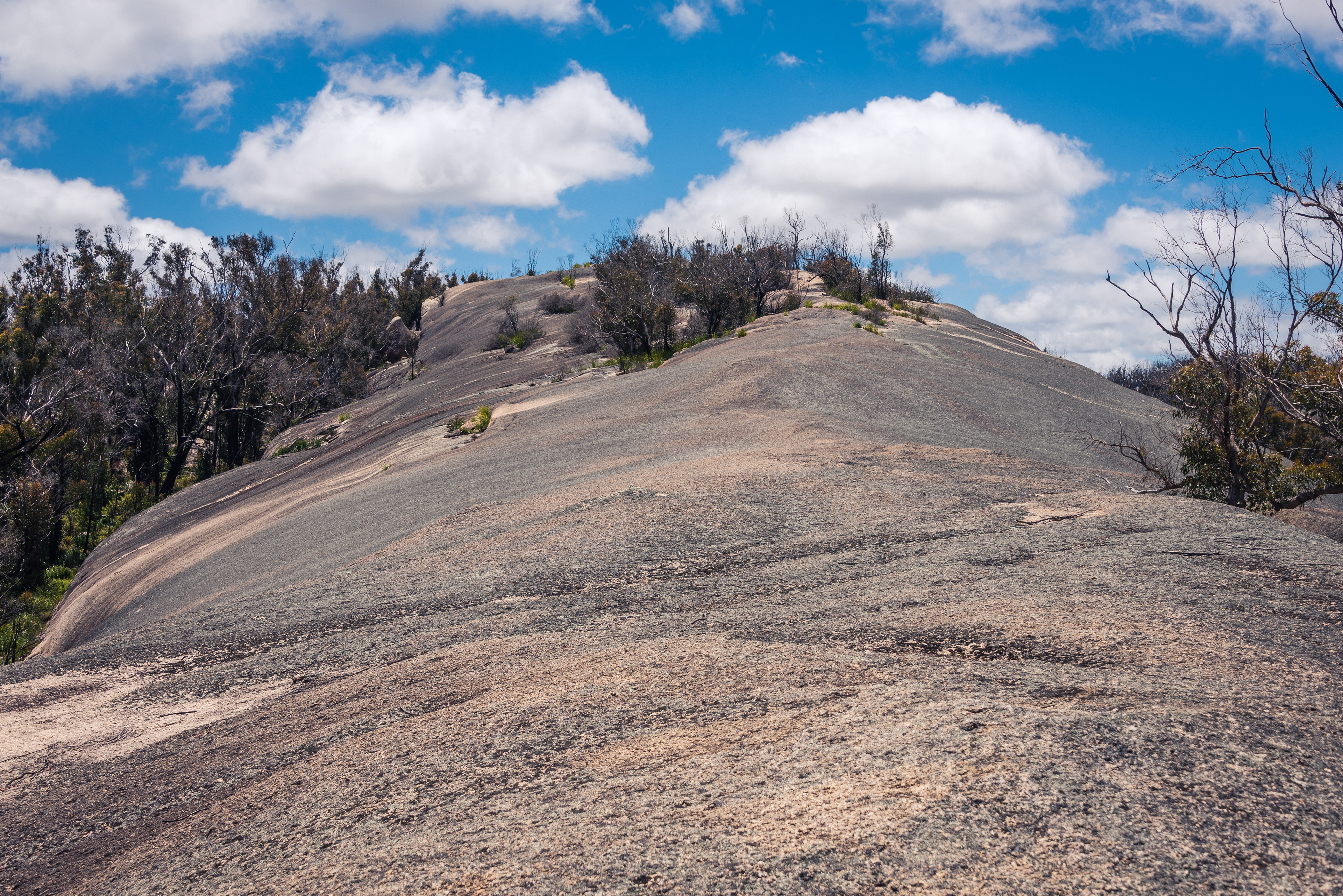 Bald Rock National Park
