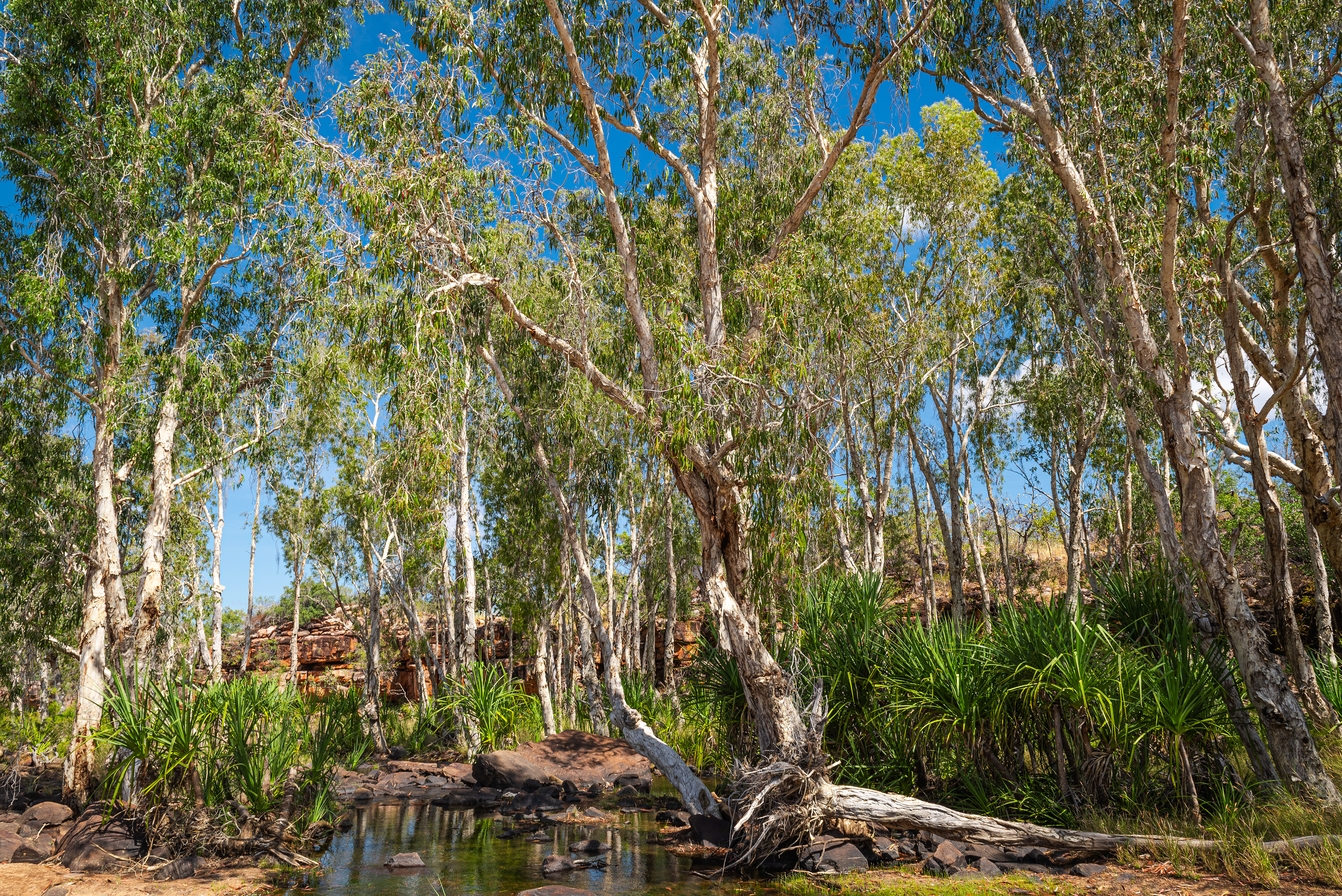 Wunnamurra Gorge, Mt Elizabeth Station
