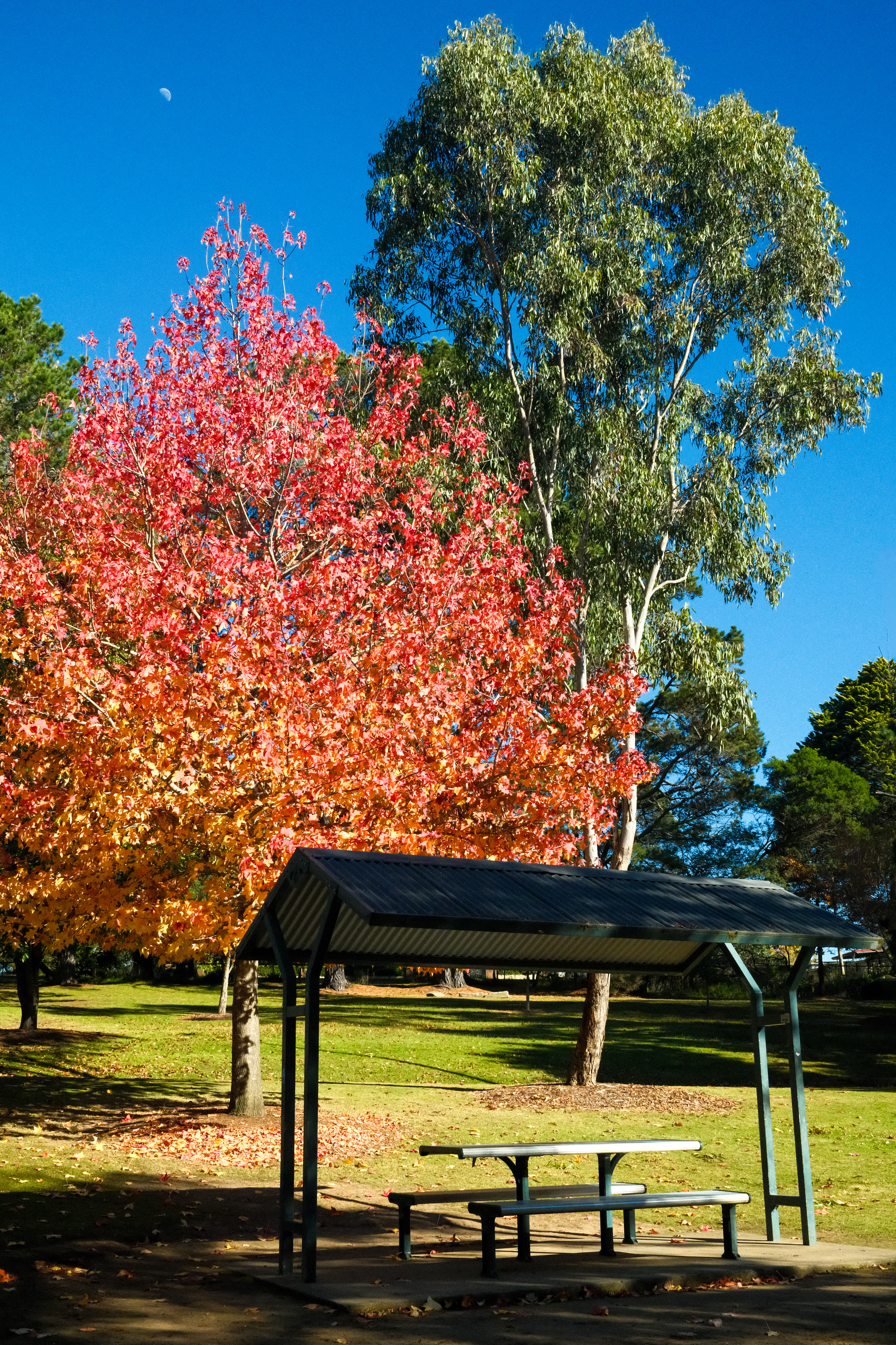 Lake Alexandra, Mittagong