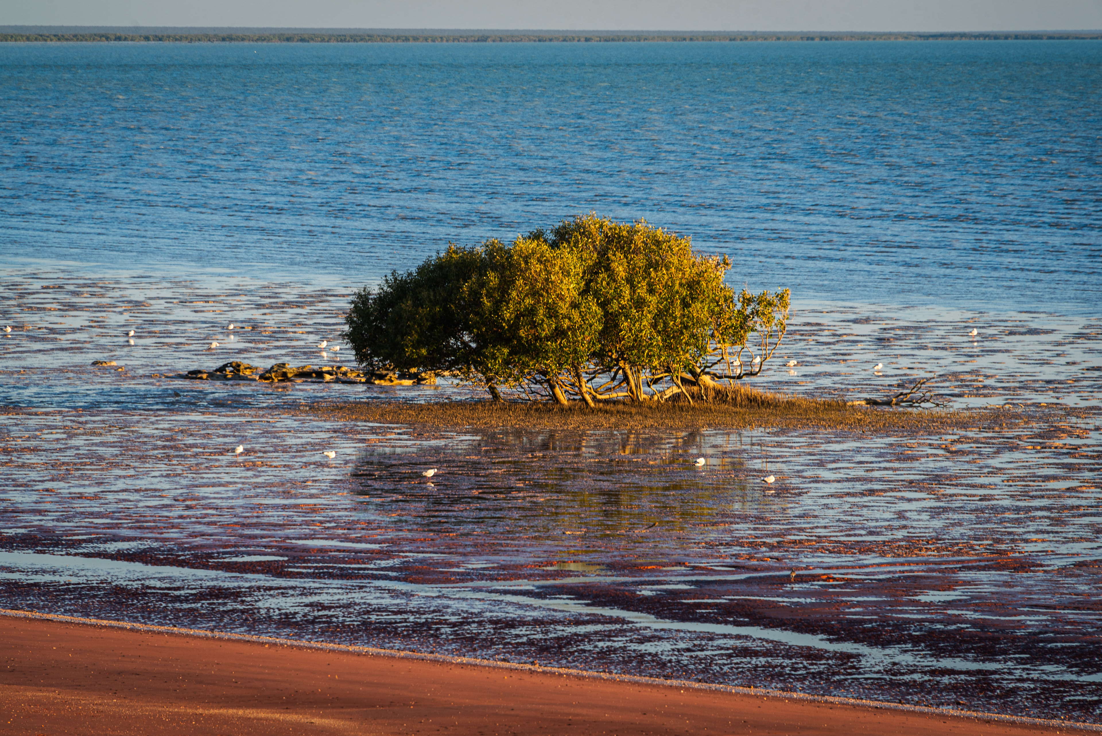 Broome Bird Observatory