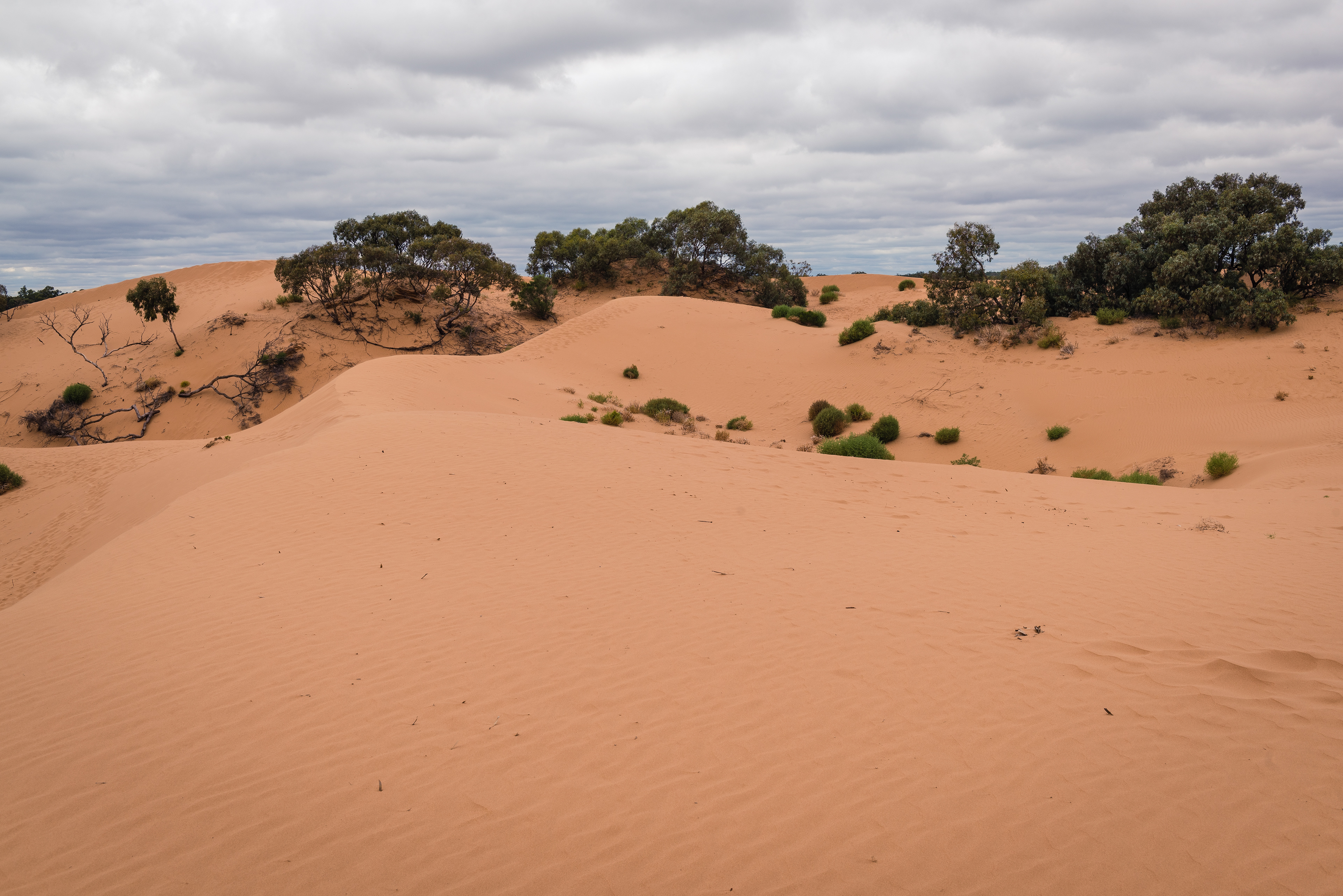 Perry Sandhills, Wentworth