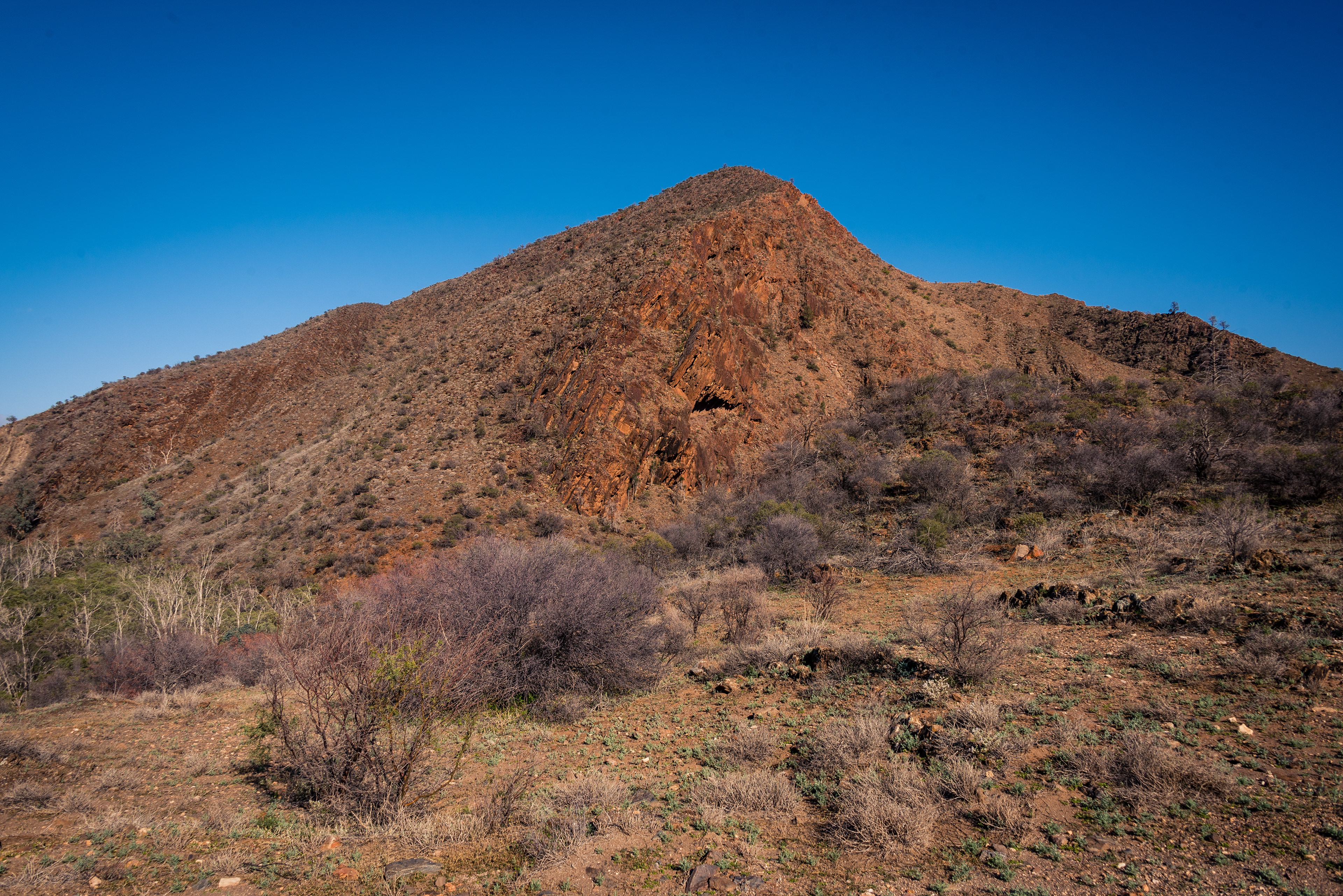 Arkaroola Wilderness Sanctuary