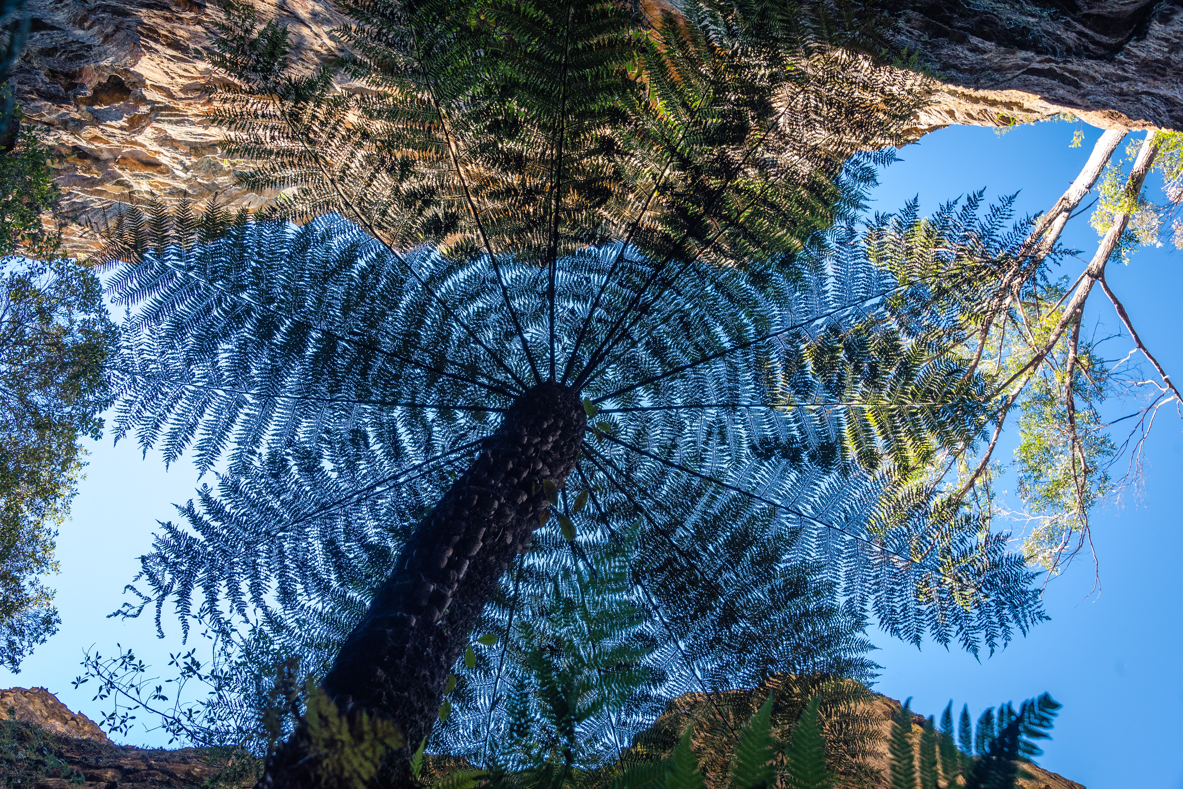 Mugii Murum-Ban, Capertee