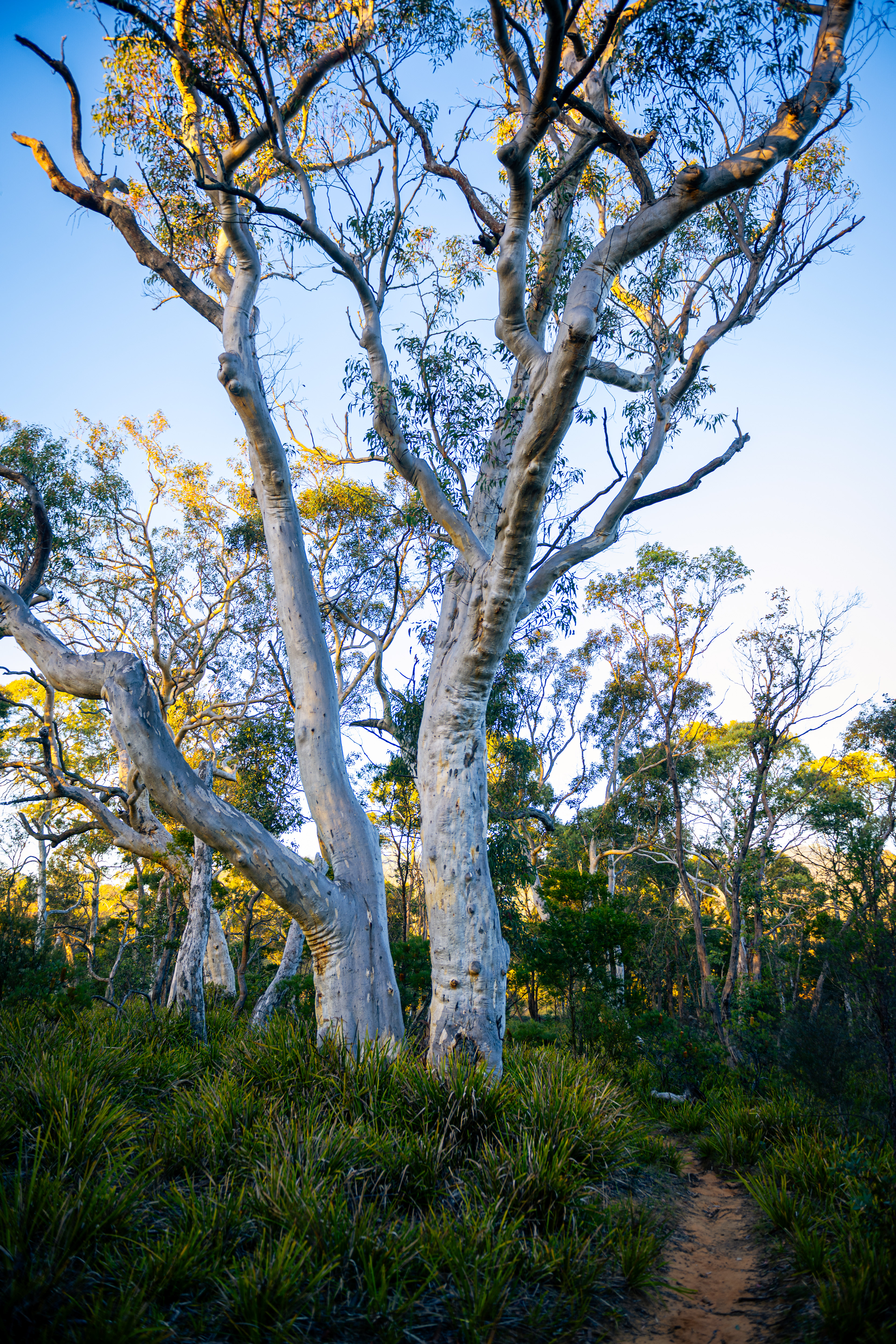Berrima River Walk