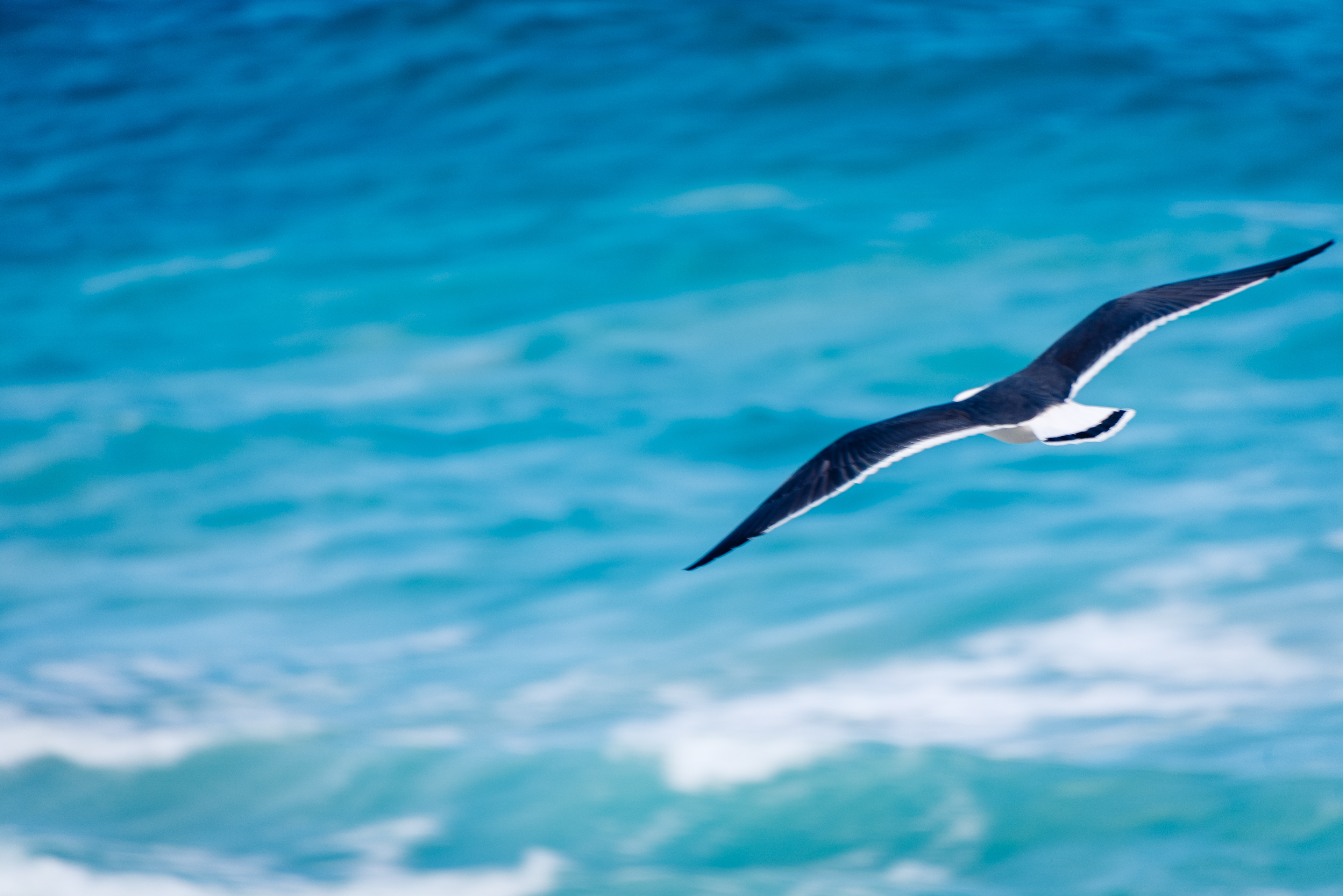 Sleaford-Wanna Track, Linoln National Park