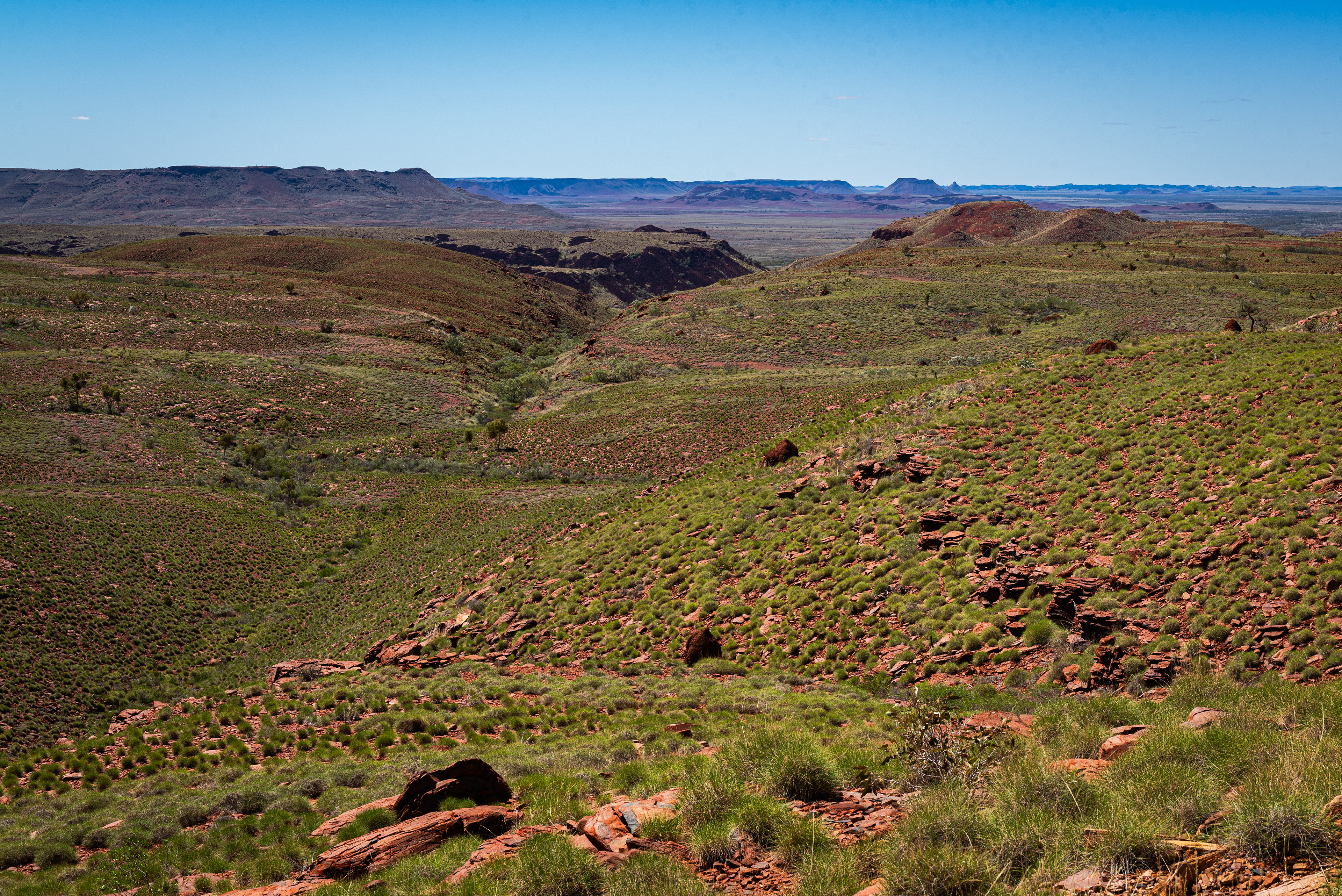 Millstream Chichester National Park