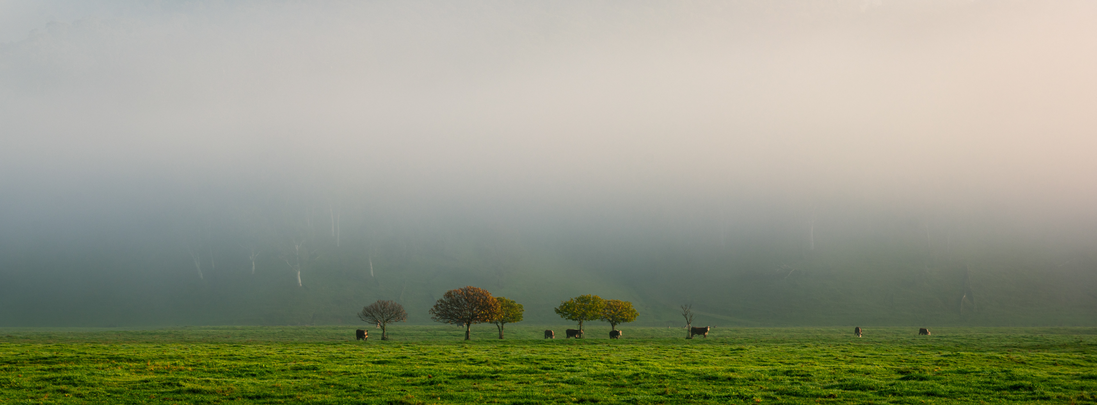 Corryong