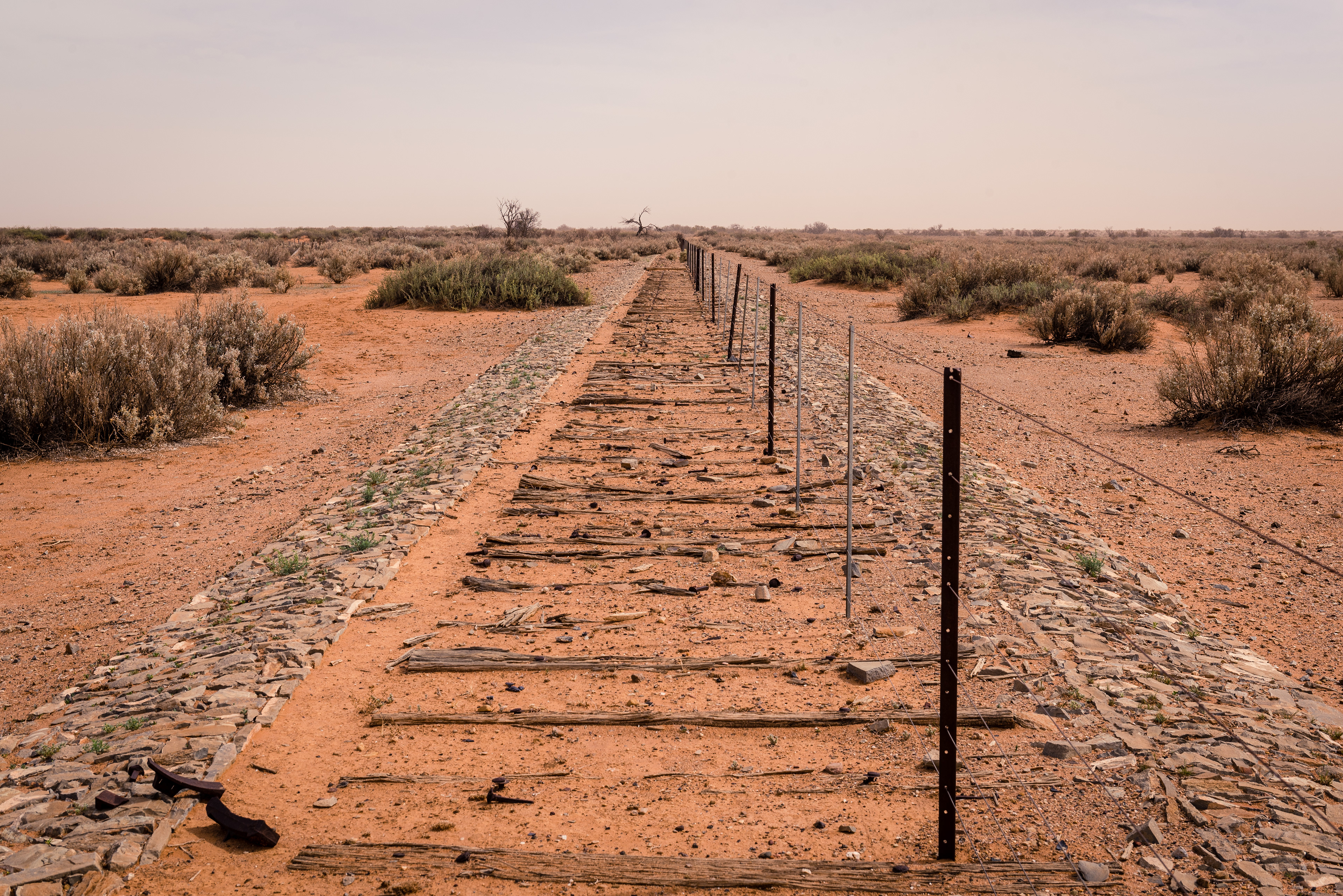 The Old Ghan Railway, Witchelina