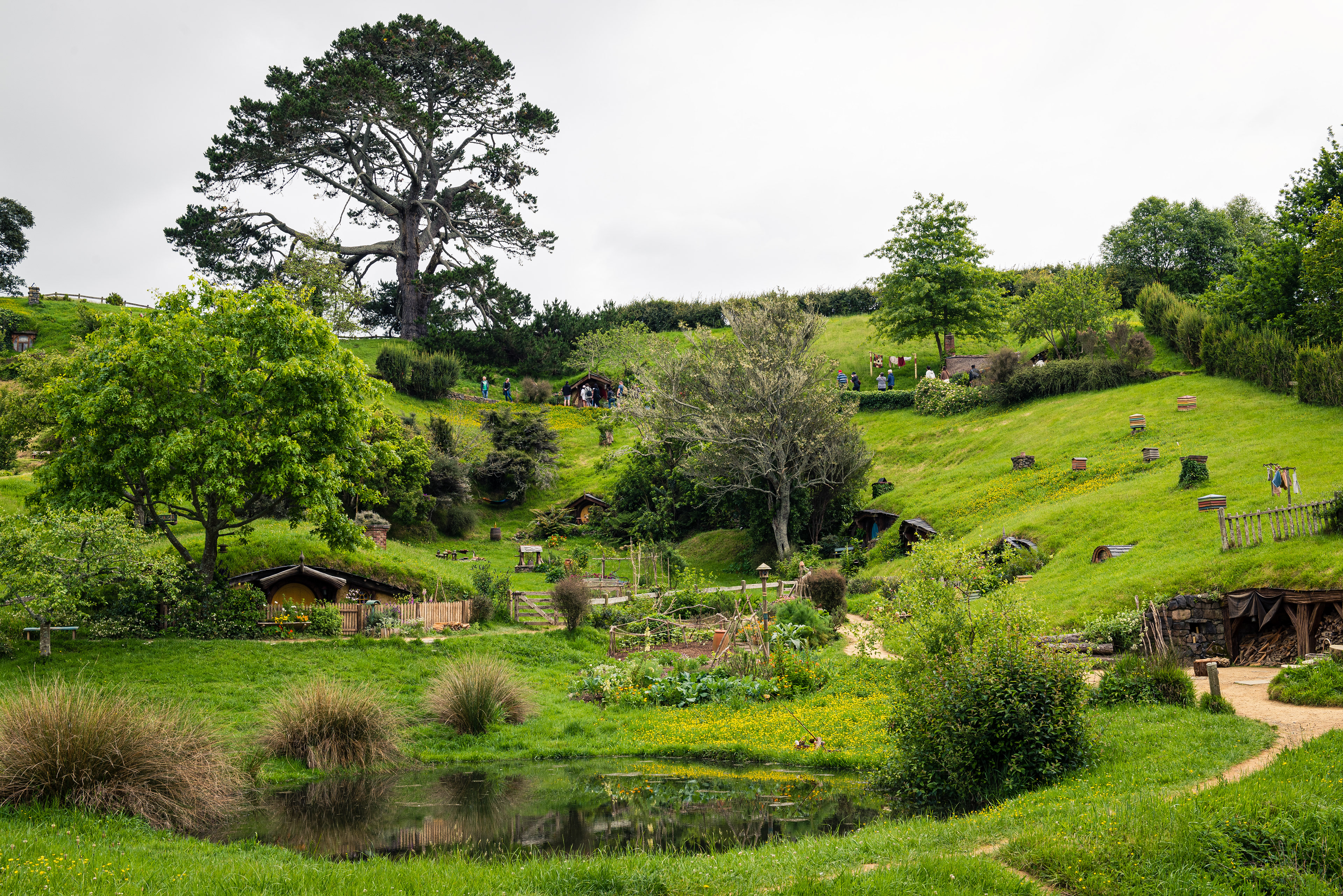 Hobbiton Movie Set, North Island