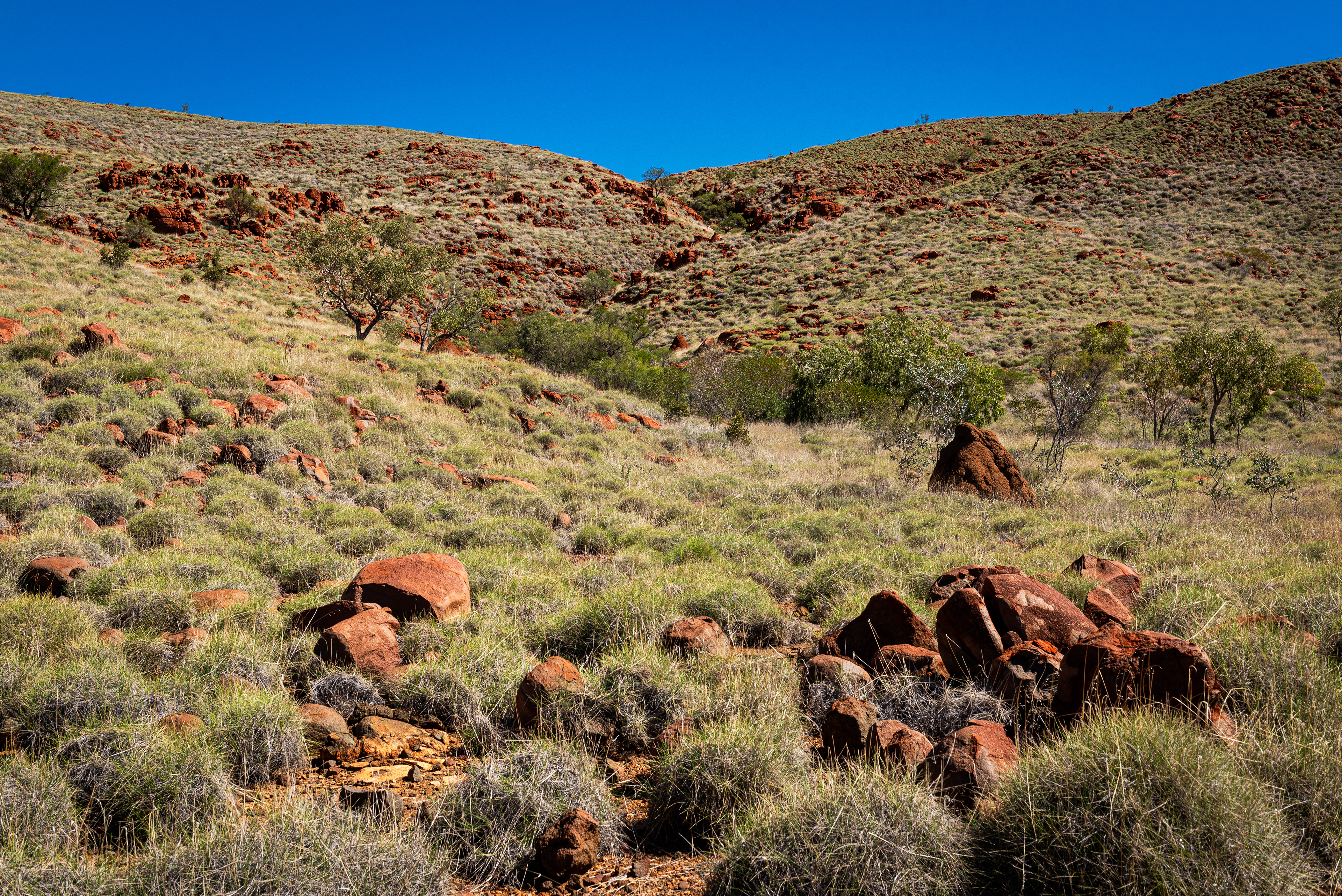 Millstream Chichester National Park