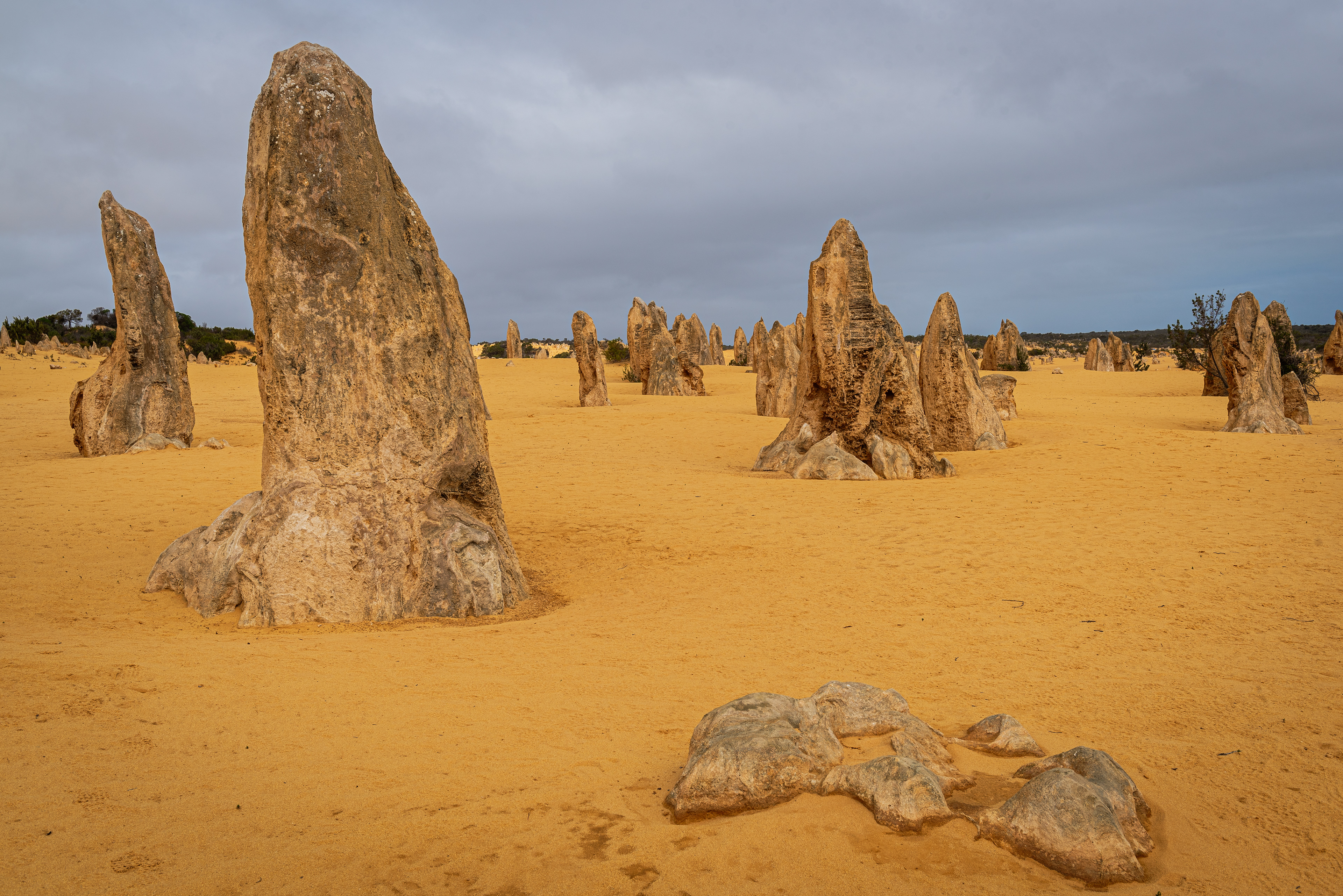 The Pinnacles Desert, Nambung National Park
