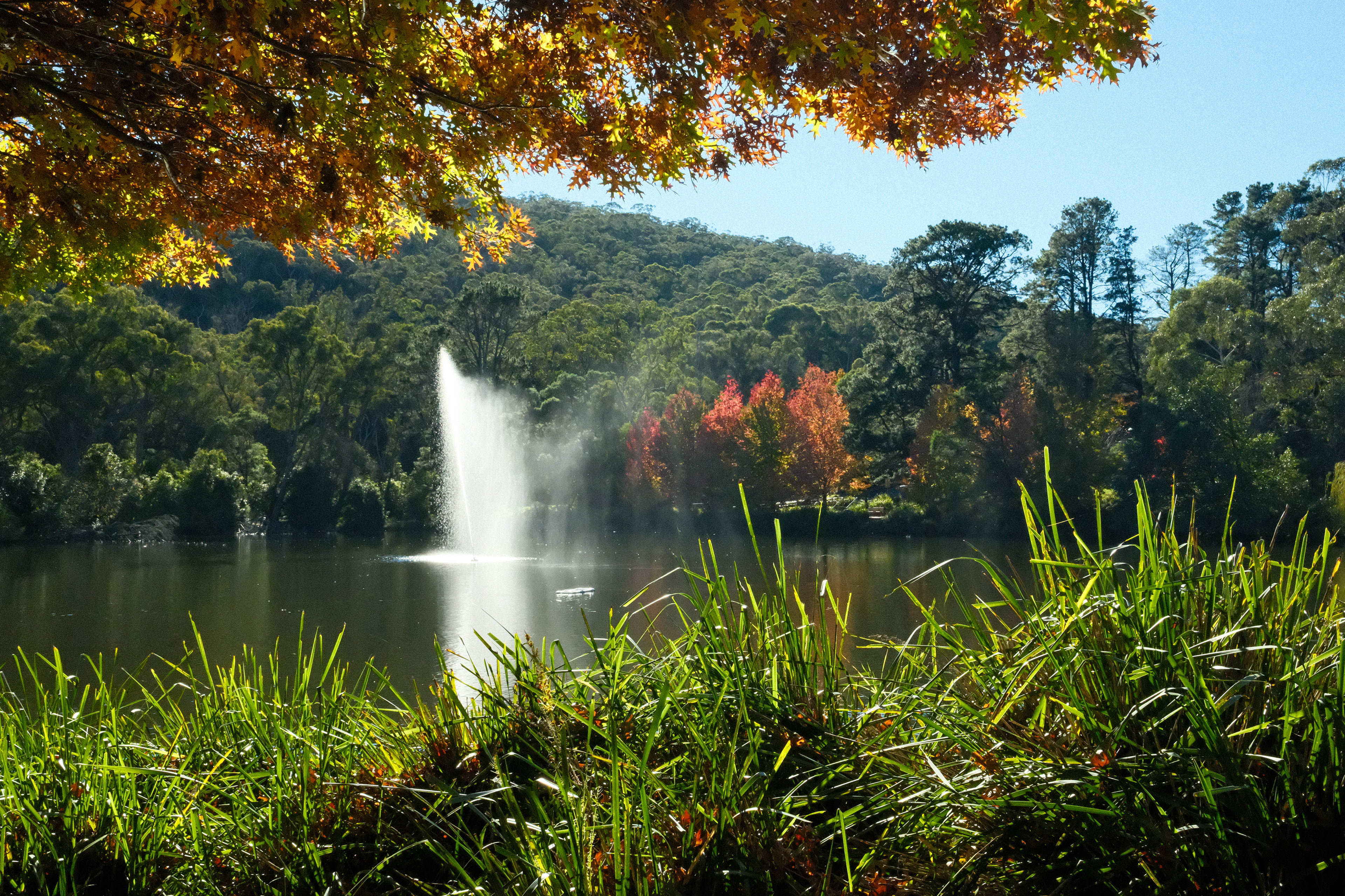 Lake Alexandra, Mittagong