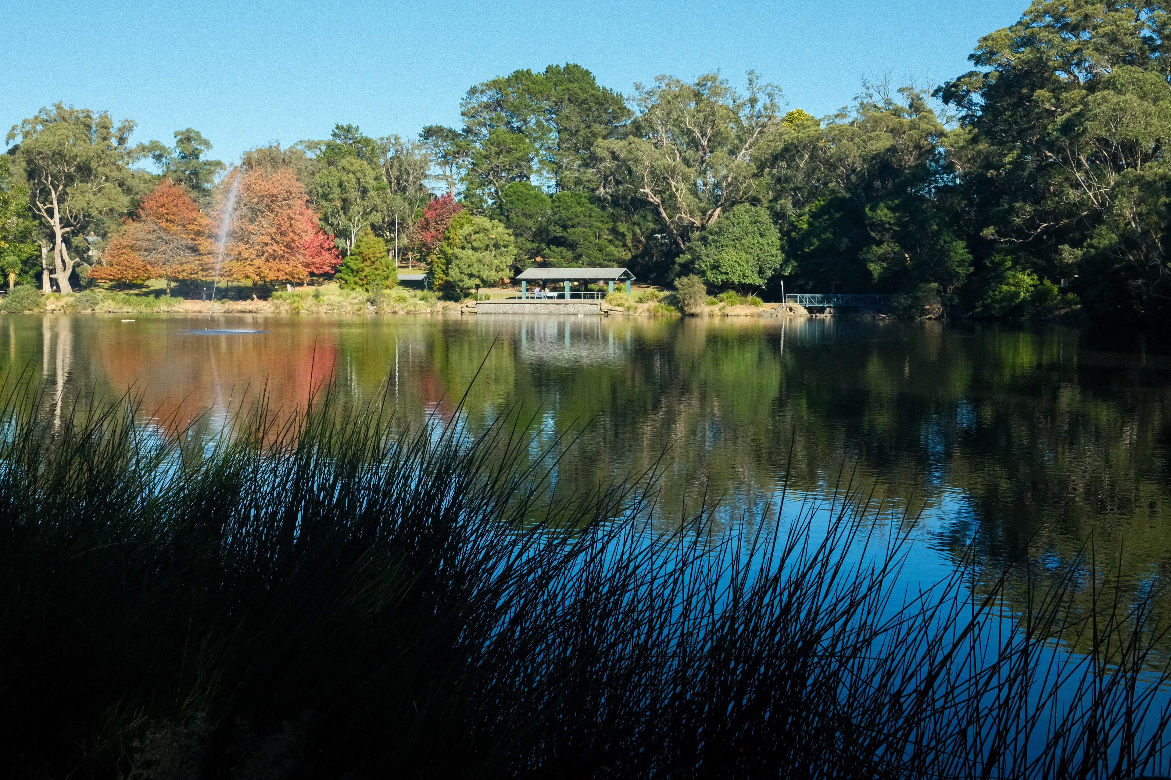 Lake Alexandra, Mittagong