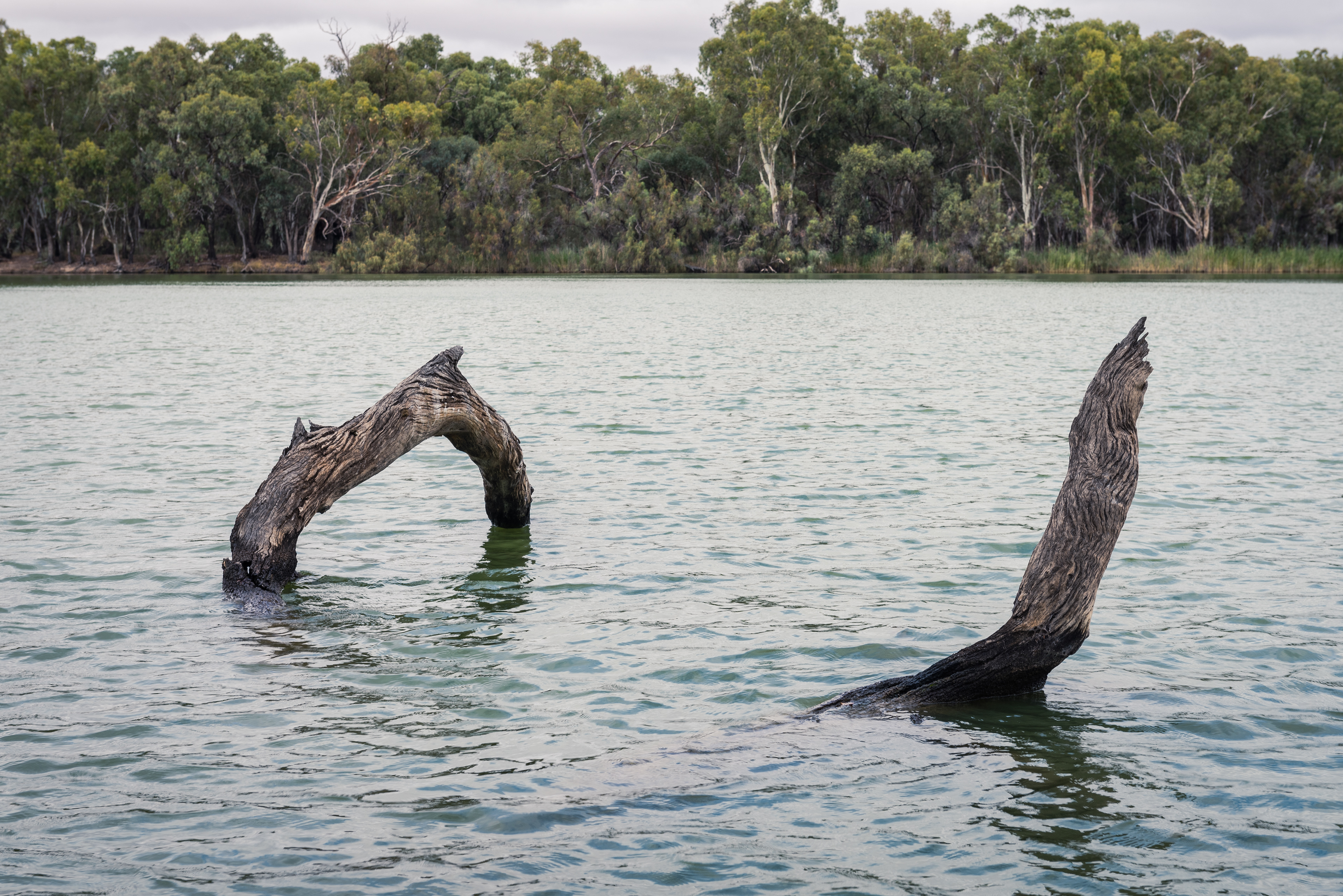 Murray River, Wentworth