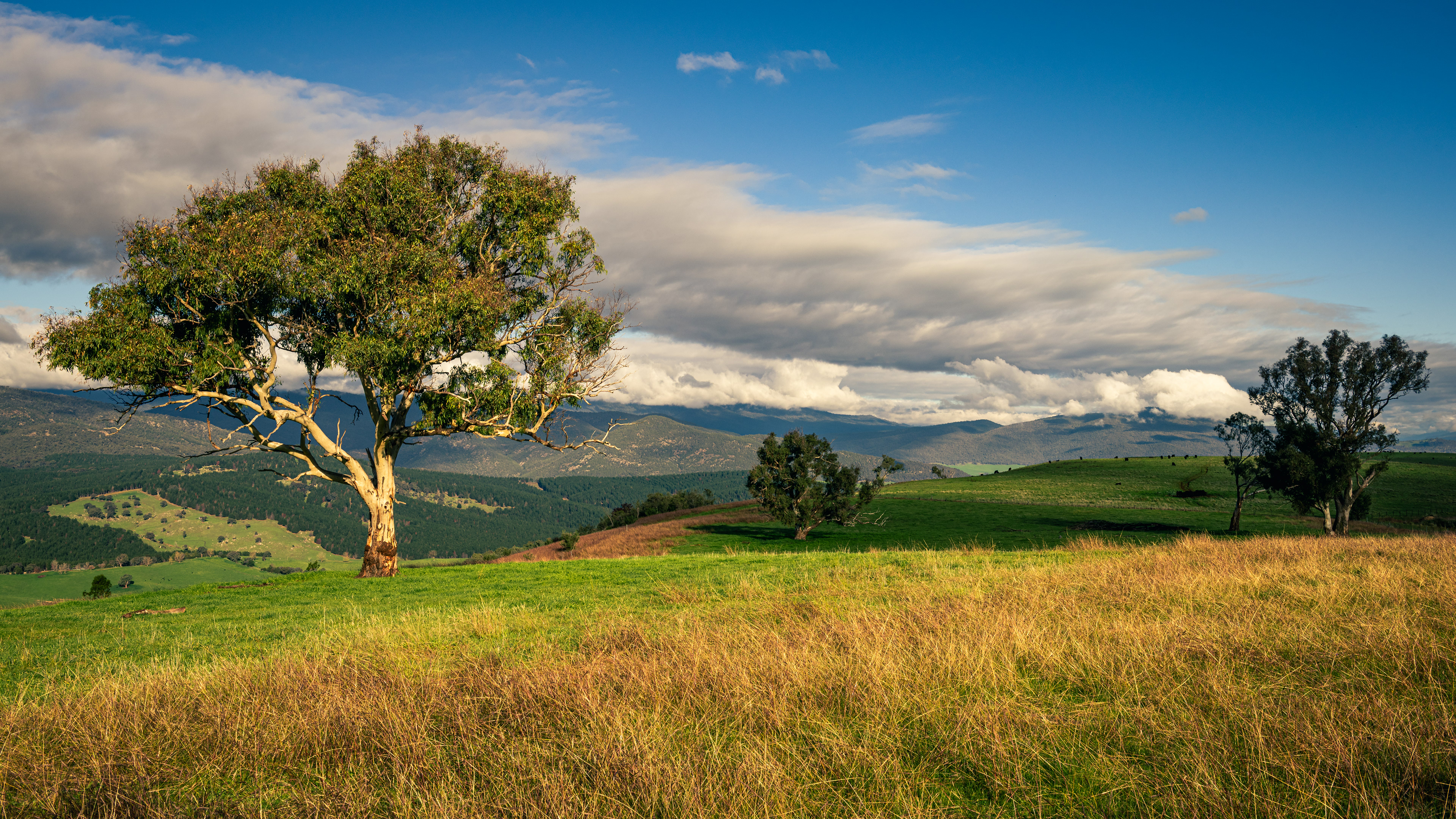 Southern Cloud Lookout