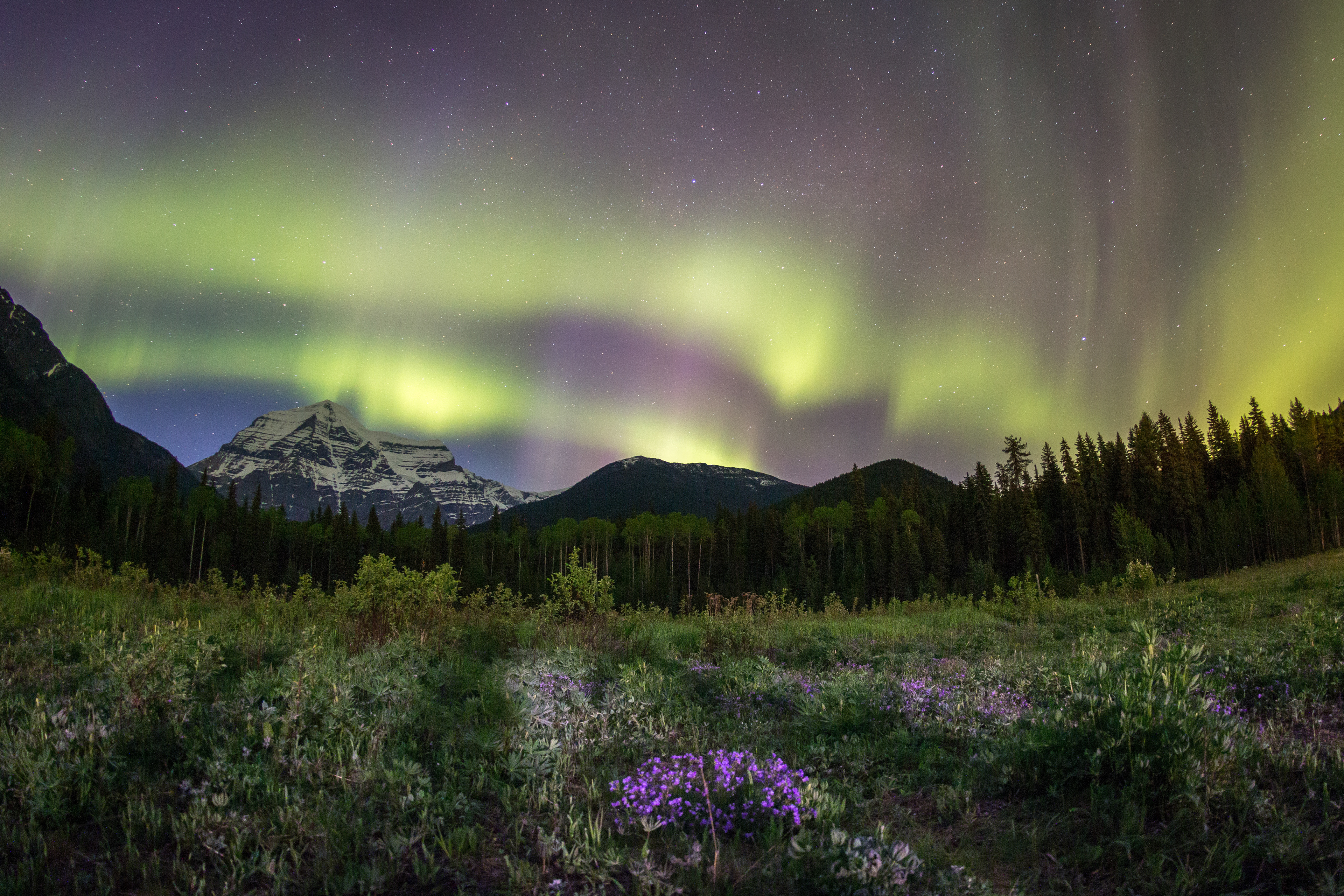 Mount Robson