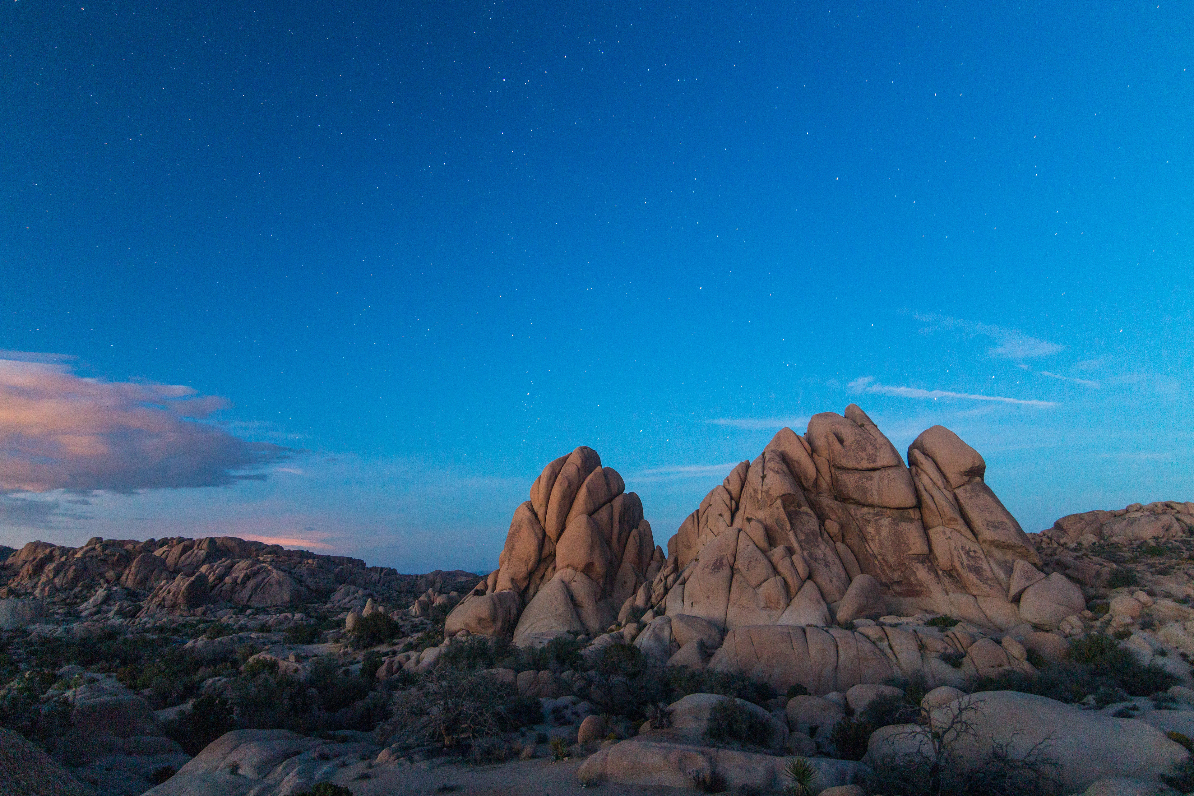 Joshua Tree National Park