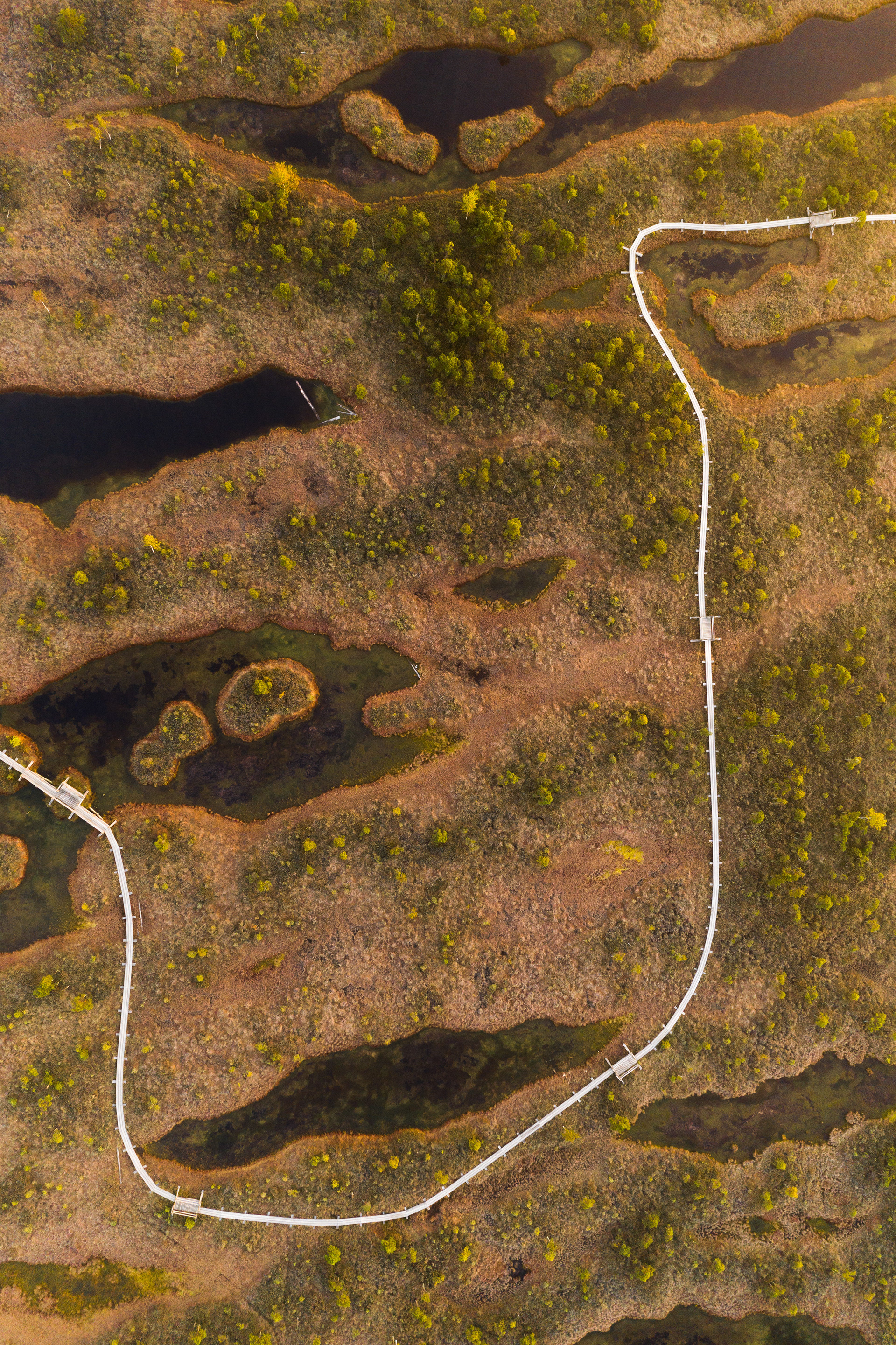 Kemeri Nationalpark, Lettland