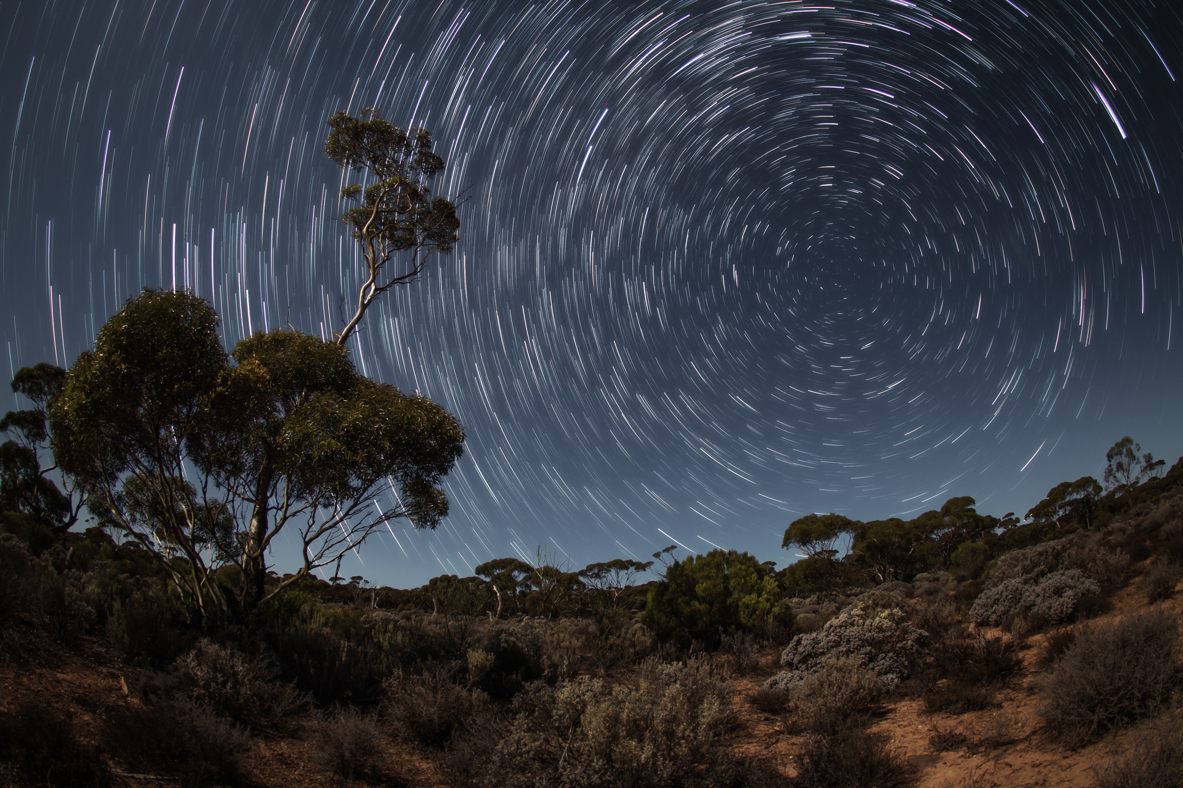 Nullarbor