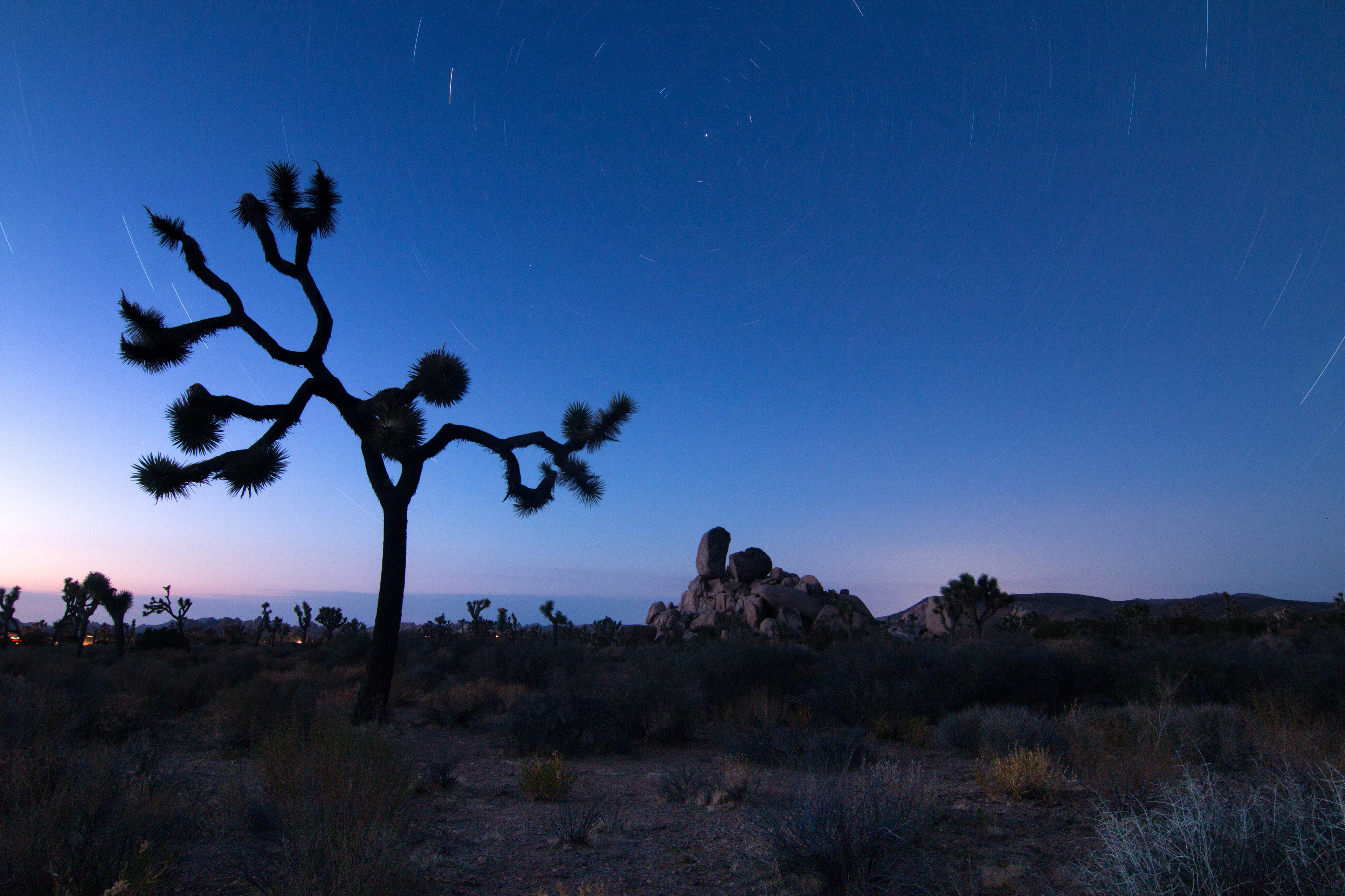 Joshua Tree National Park