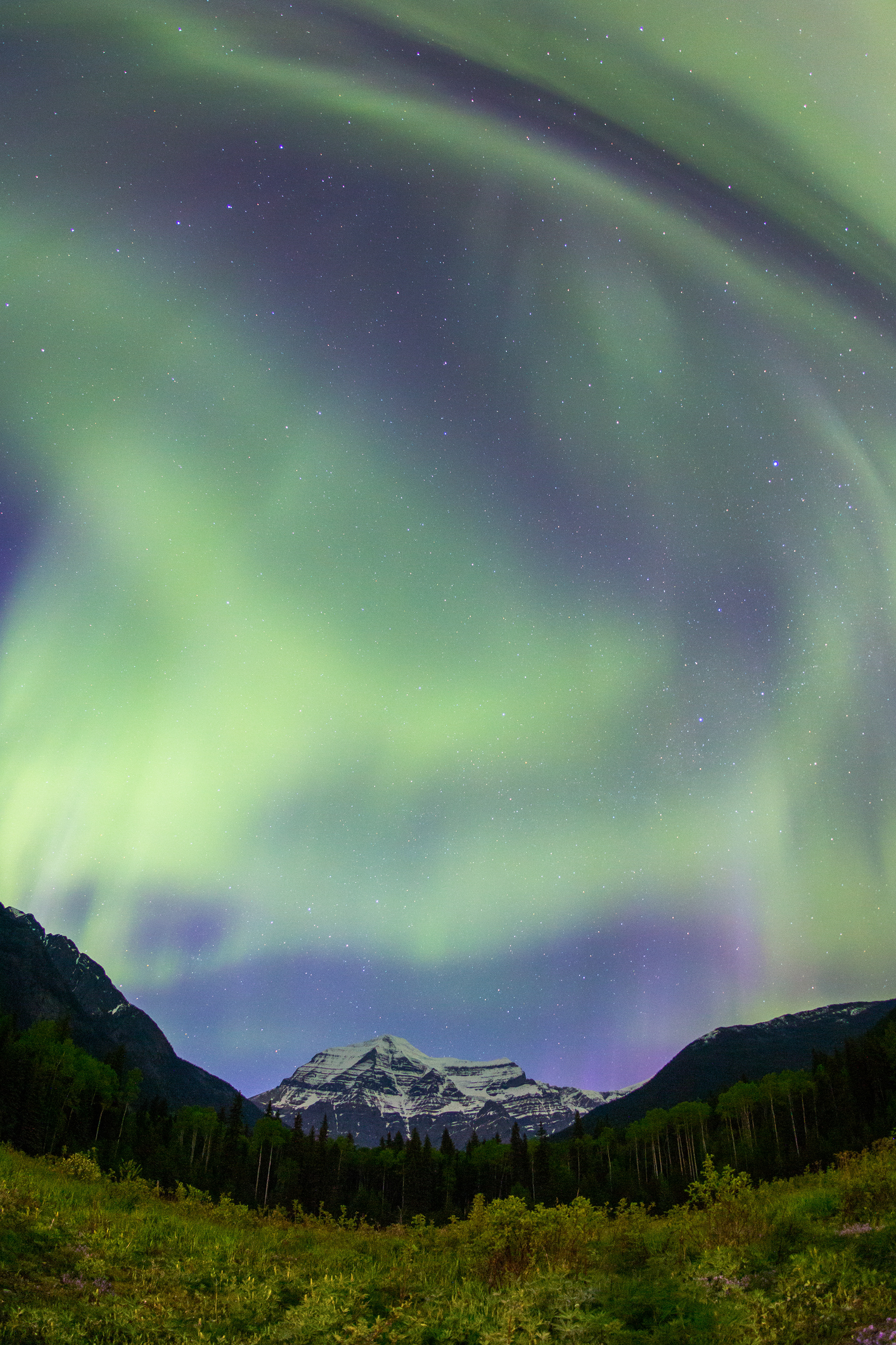 Mount Robson