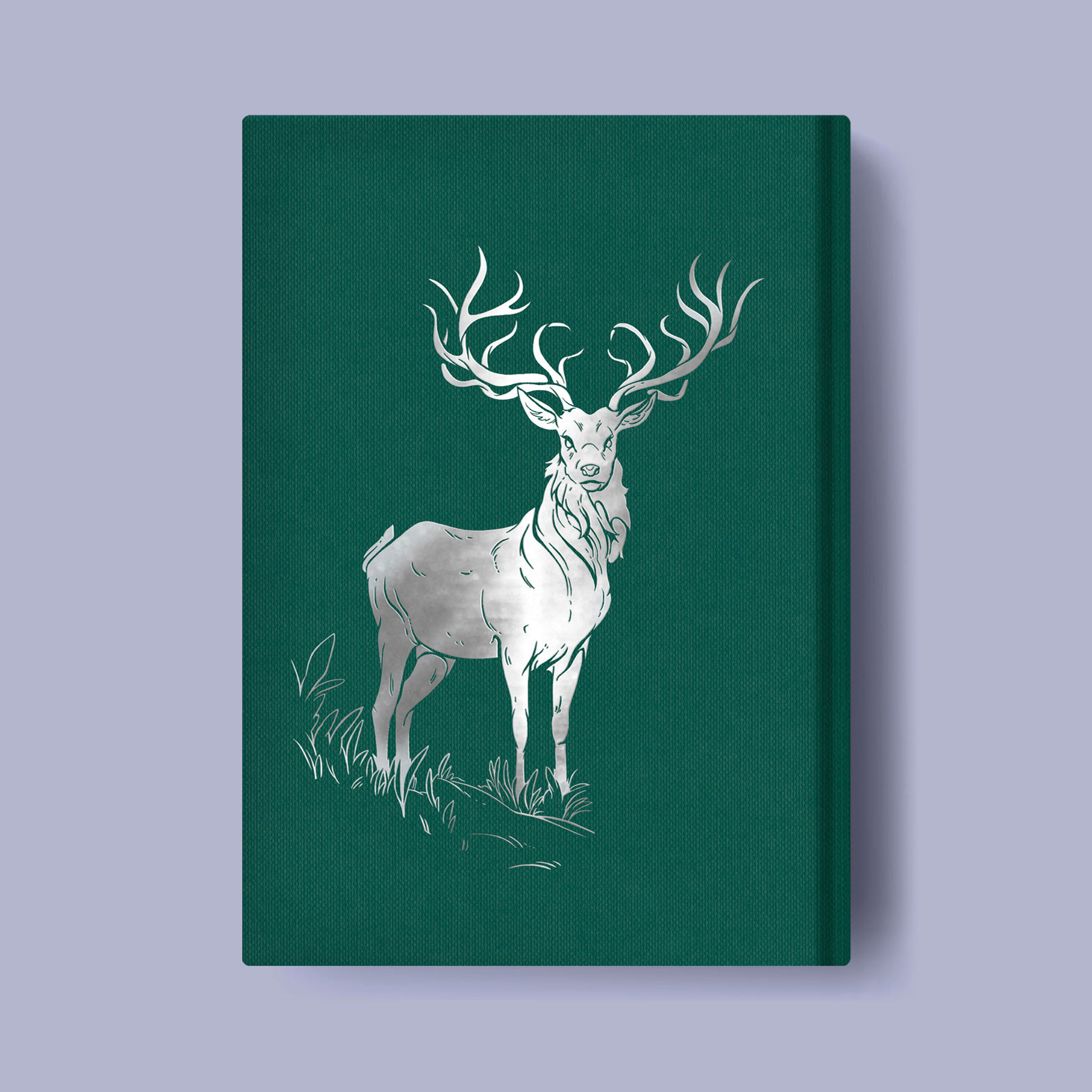 Wibalin design for Fairyloot; Illustrations by Dani Pendergast