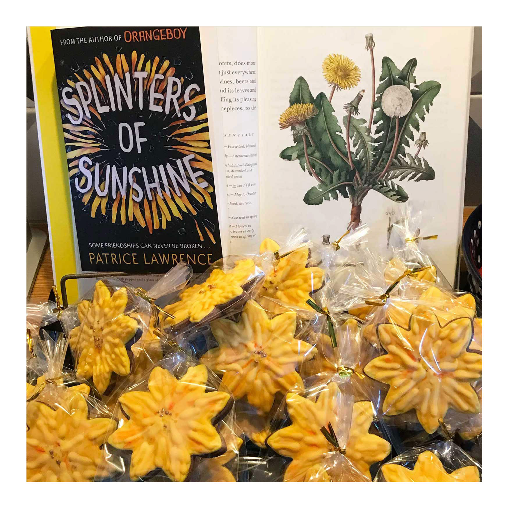 Biscuits for Patrice's book launch
